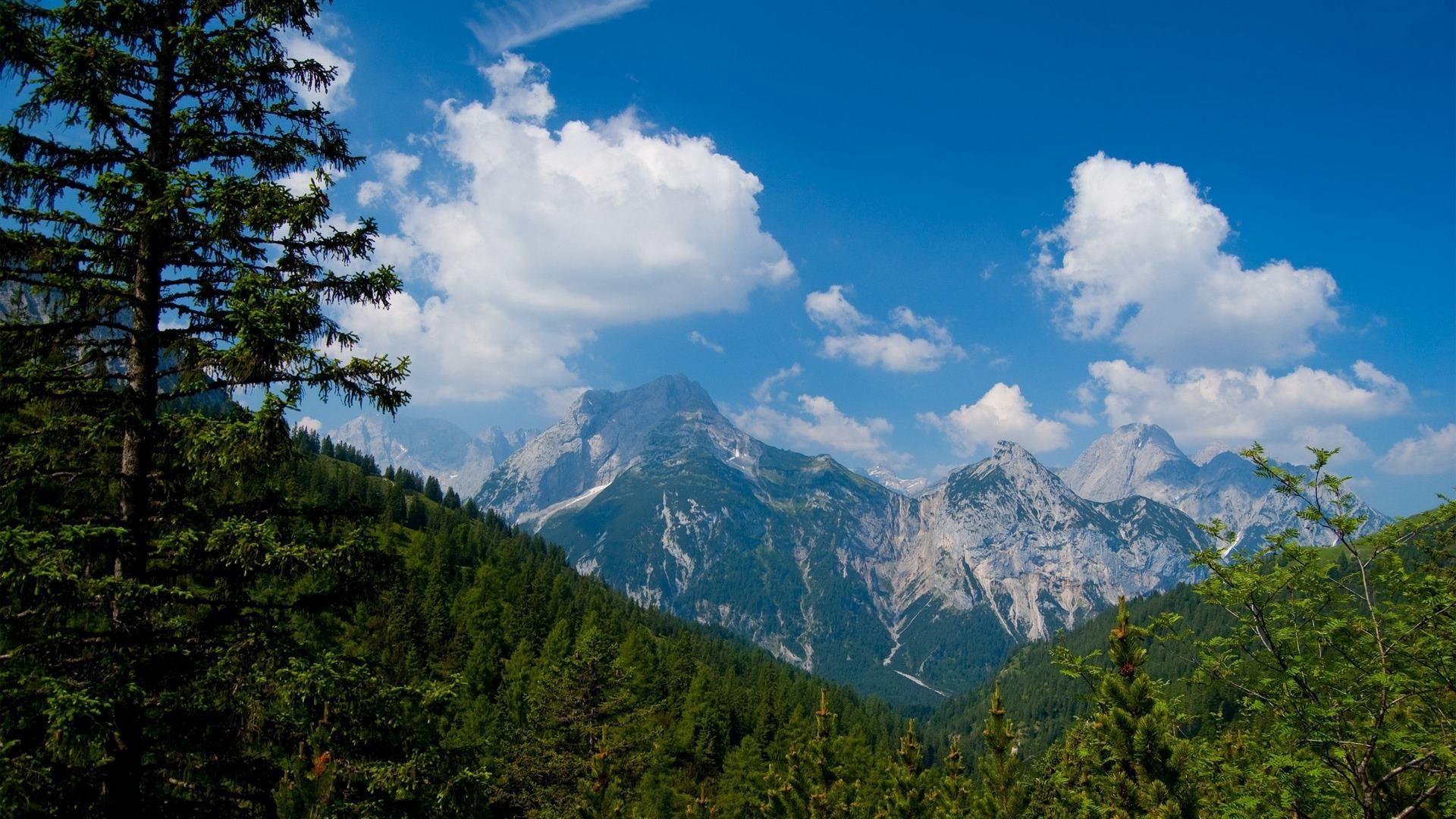 Téléchargez gratuitement l'image Paysage, Montagne, Forêt, Arbre, Terre/nature sur le bureau de votre PC