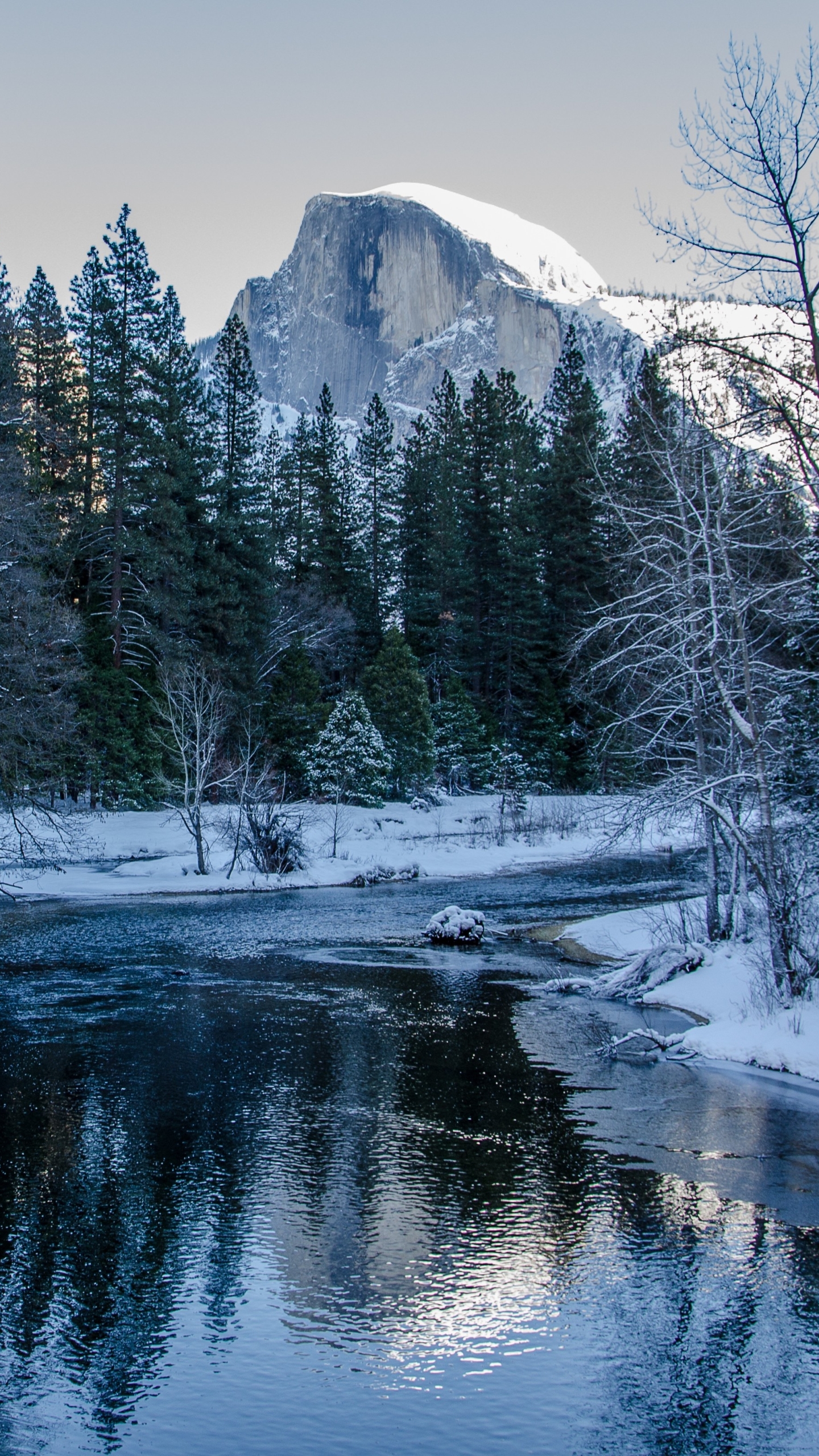 Descarga gratuita de fondo de pantalla para móvil de Invierno, Nieve, Rio, Bosque, Árbol, Río, Tierra/naturaleza.