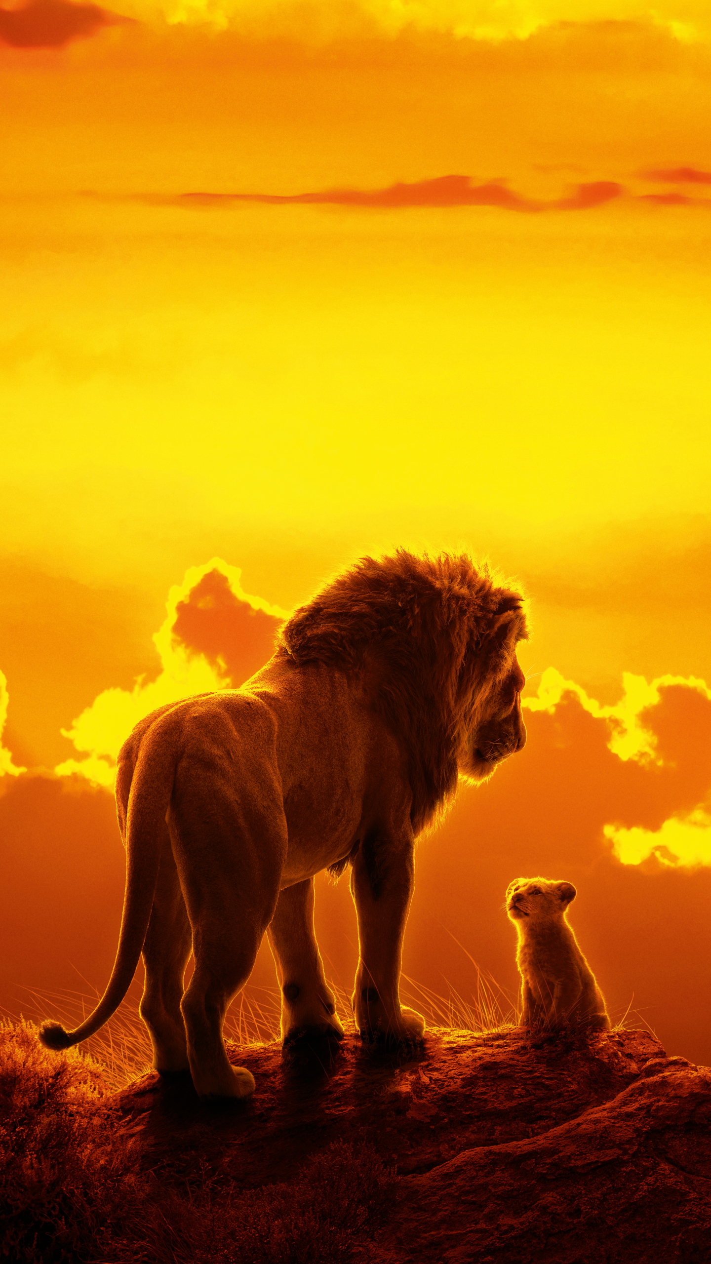 the lion king (2019), movie, baby animal, lion, simba