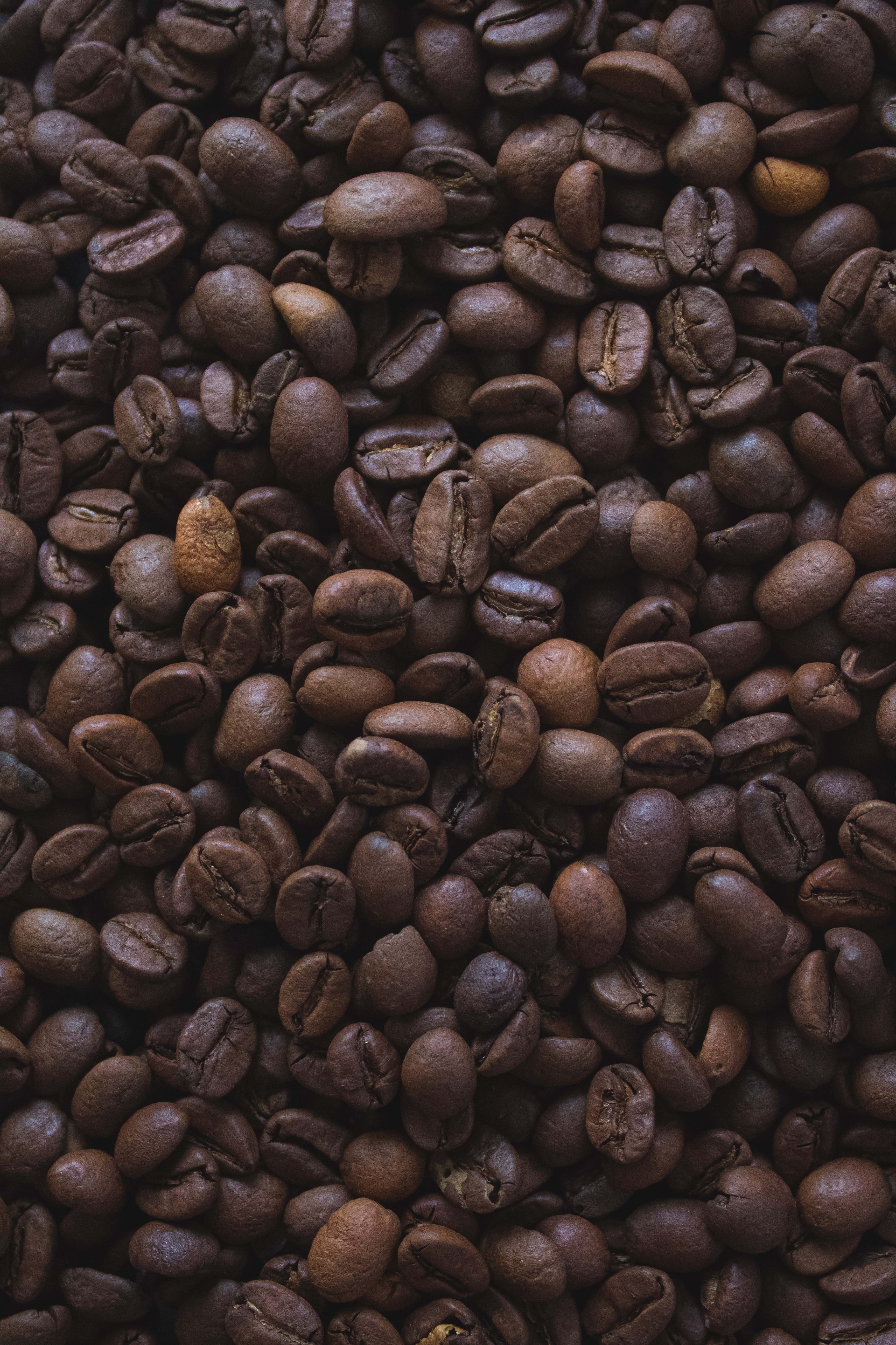 coffee, macro, brown, grains, coffee beans, grain