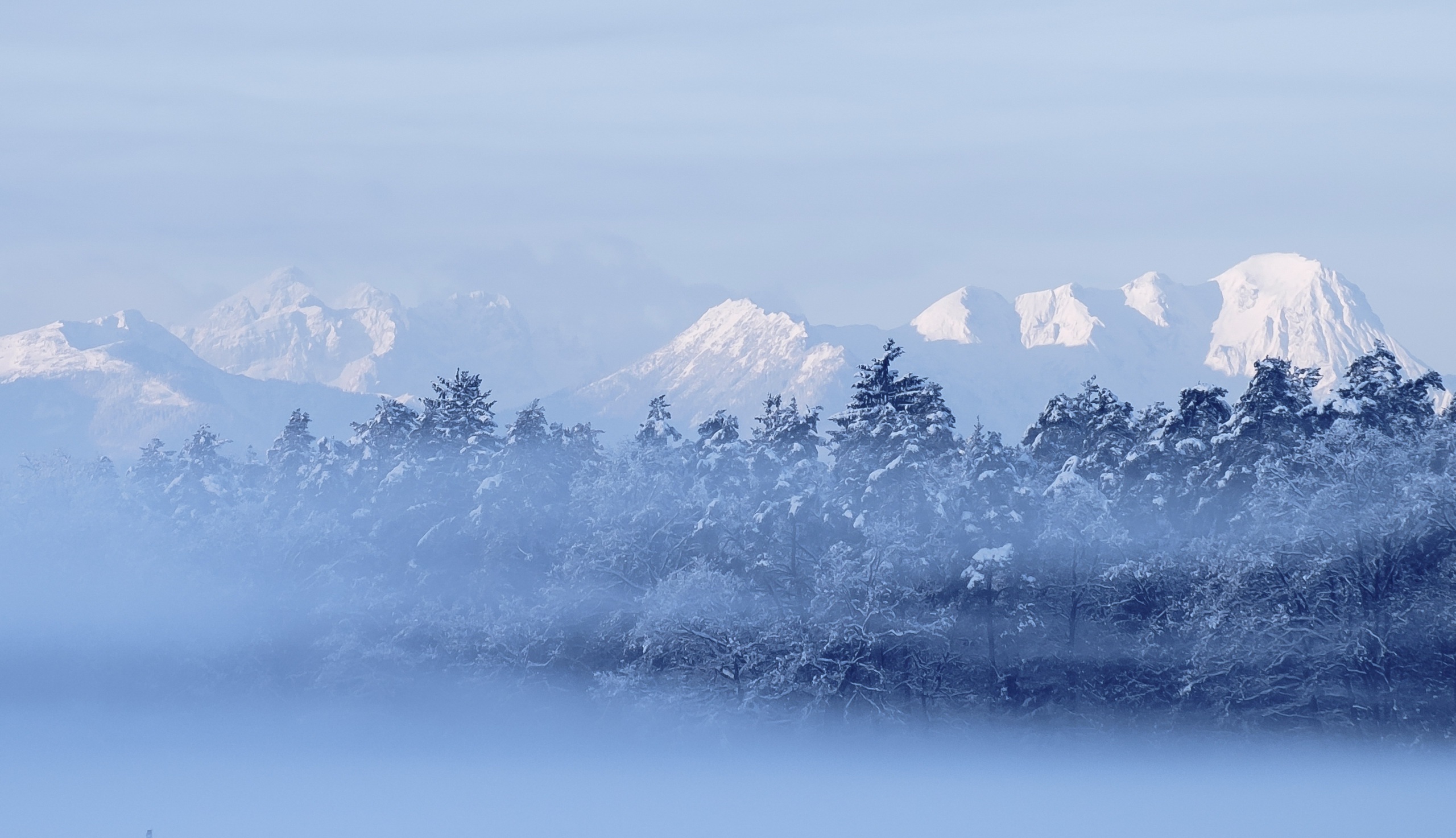 Handy-Wallpaper Winter, Natur, Baum, Nebel, Gebirge, Erde/natur kostenlos herunterladen.