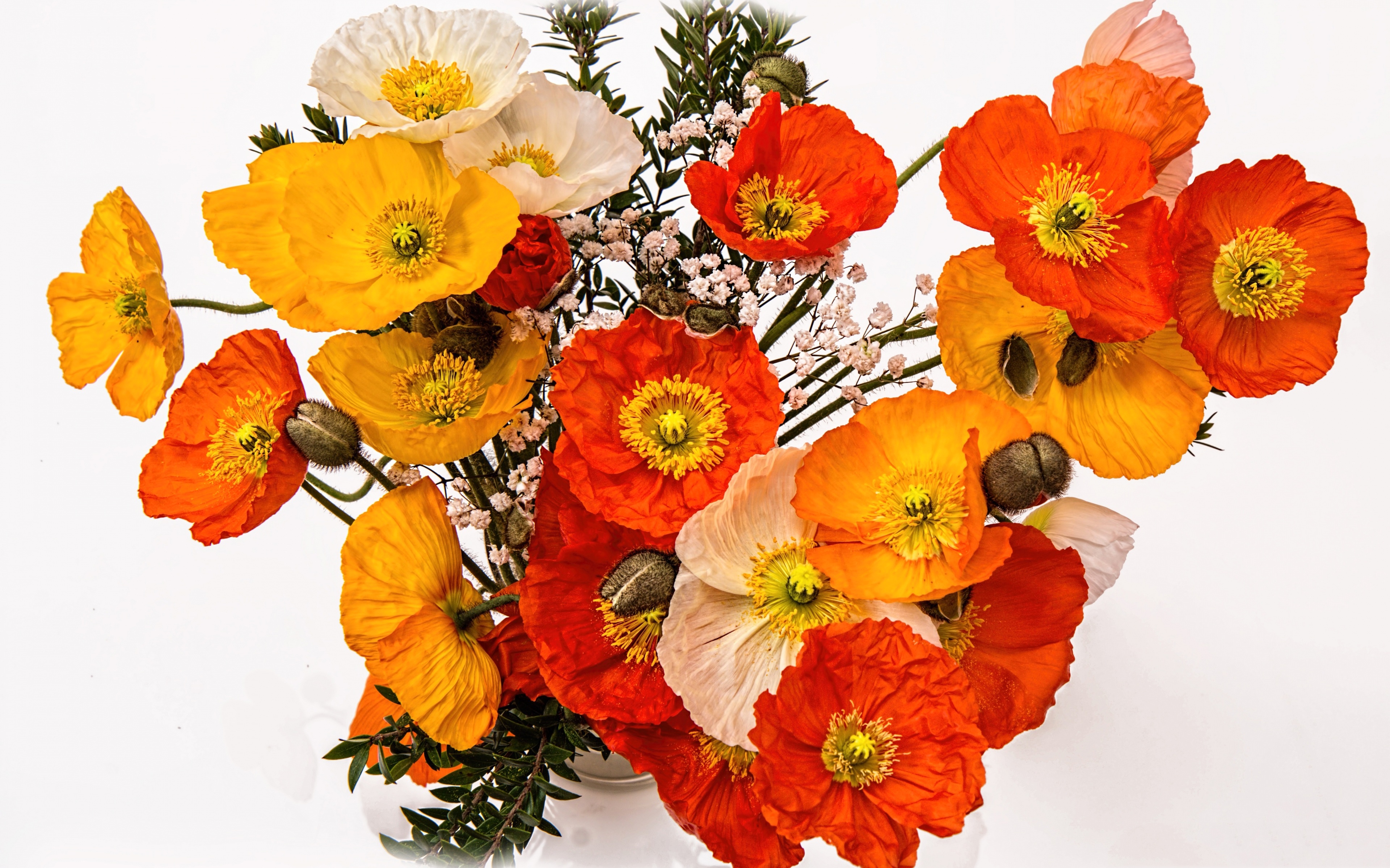 Download mobile wallpaper Flower, Earth, Poppy, Yellow Flower, White Flower, Man Made, Orange Flower for free.