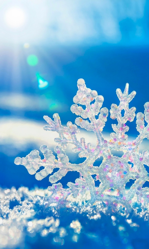 Download mobile wallpaper Winter, Snow, Earth, Snowflake for free.