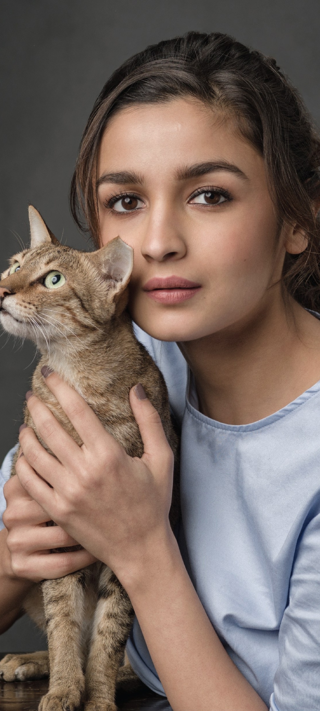 Download mobile wallpaper Cat, English, Brunette, Celebrity, Actress, Alia Bhatt for free.