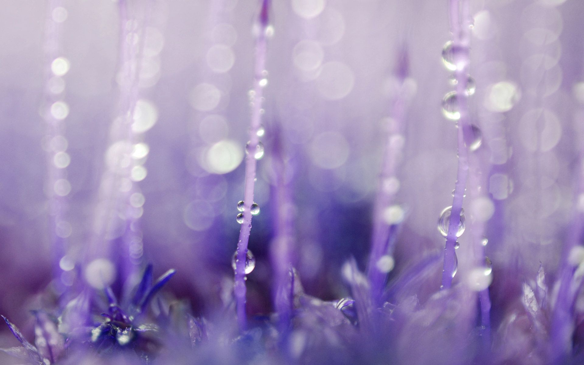 Free download wallpaper Macro, Surface, Light Coloured, Drops, Glare, Light on your PC desktop