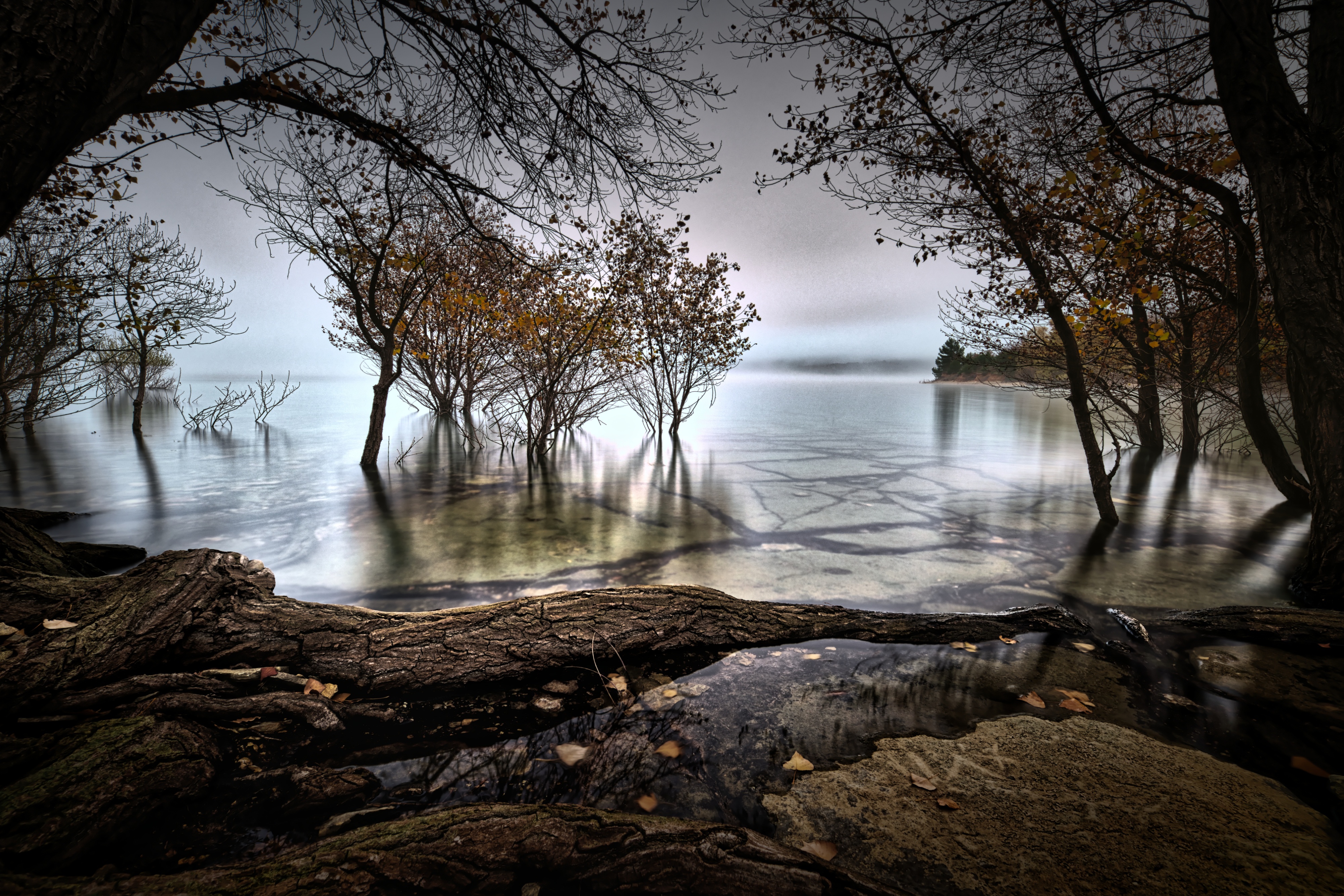 Download mobile wallpaper Nature, Water, Lakes, Lake, Tree, Fog, Fall, Earth for free.