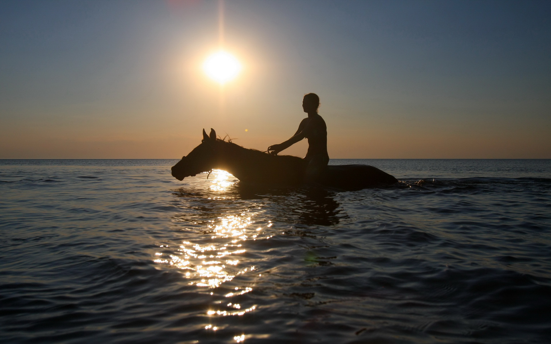 Descarga gratuita de fondo de pantalla para móvil de Animales, Caballo.