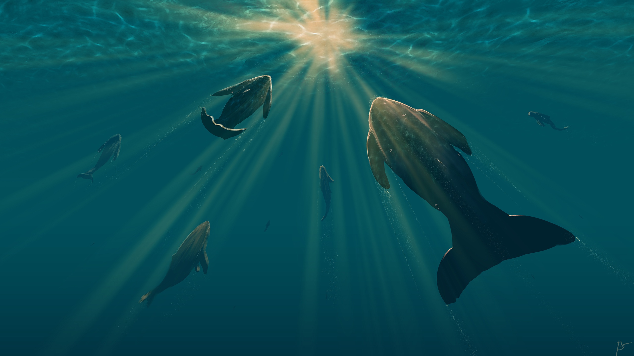 無料モバイル壁紙ファンタジー, 鯨, 水中, サンビーム, ファンタジー動物をダウンロードします。