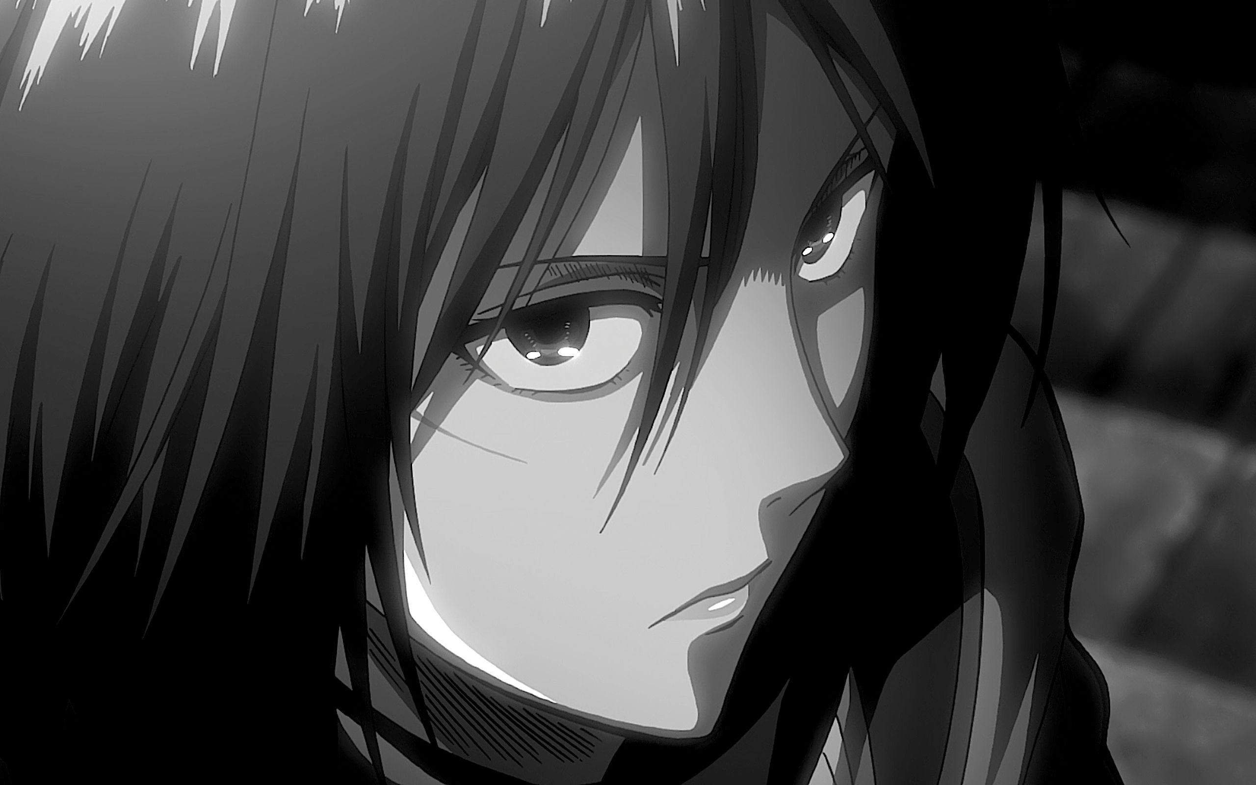 Free download wallpaper Anime, Black & White, Mikasa Ackerman, Shingeki No Kyojin, Attack On Titan on your PC desktop