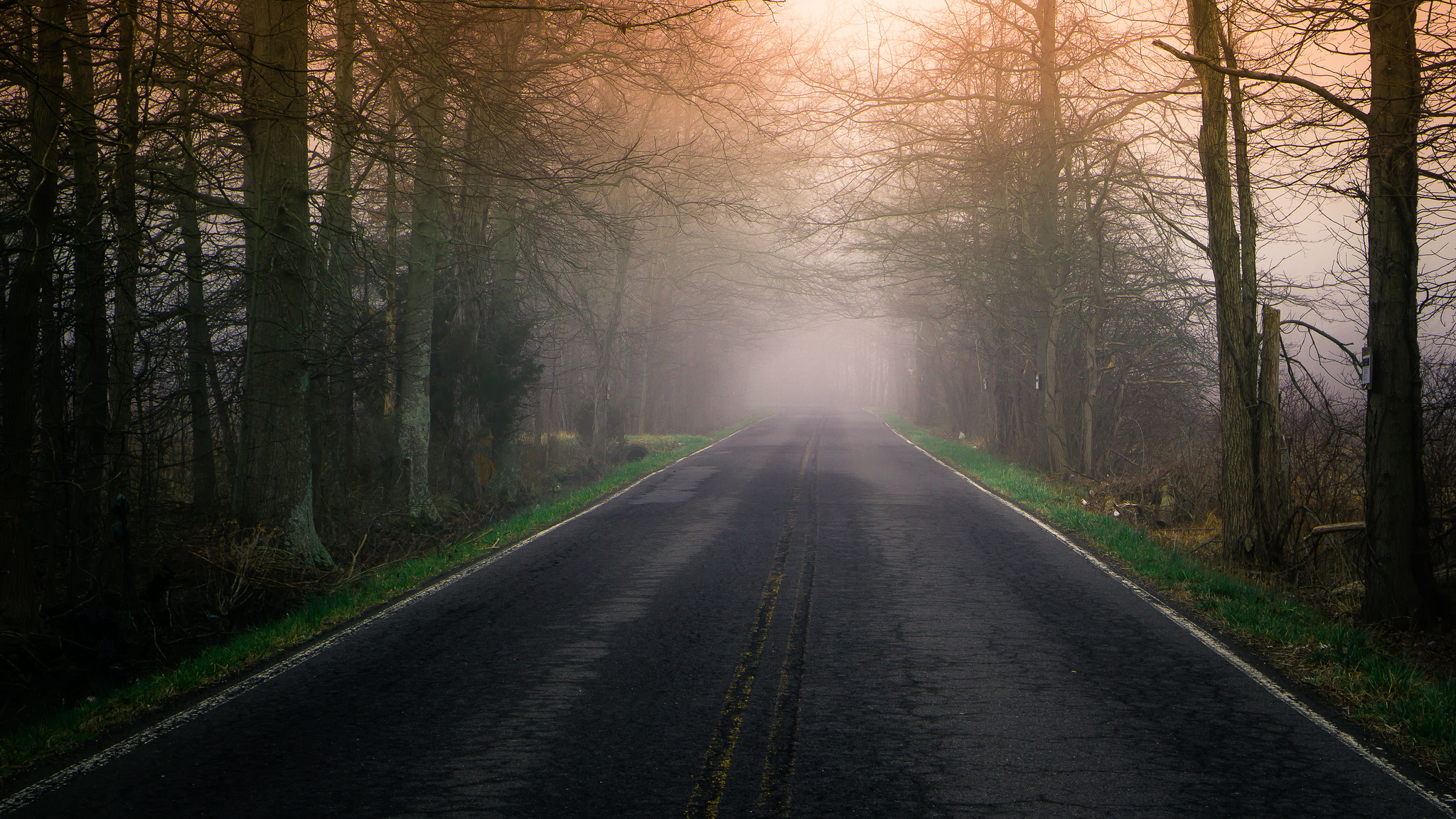 Download mobile wallpaper Road, Tree, Fog, Man Made for free.