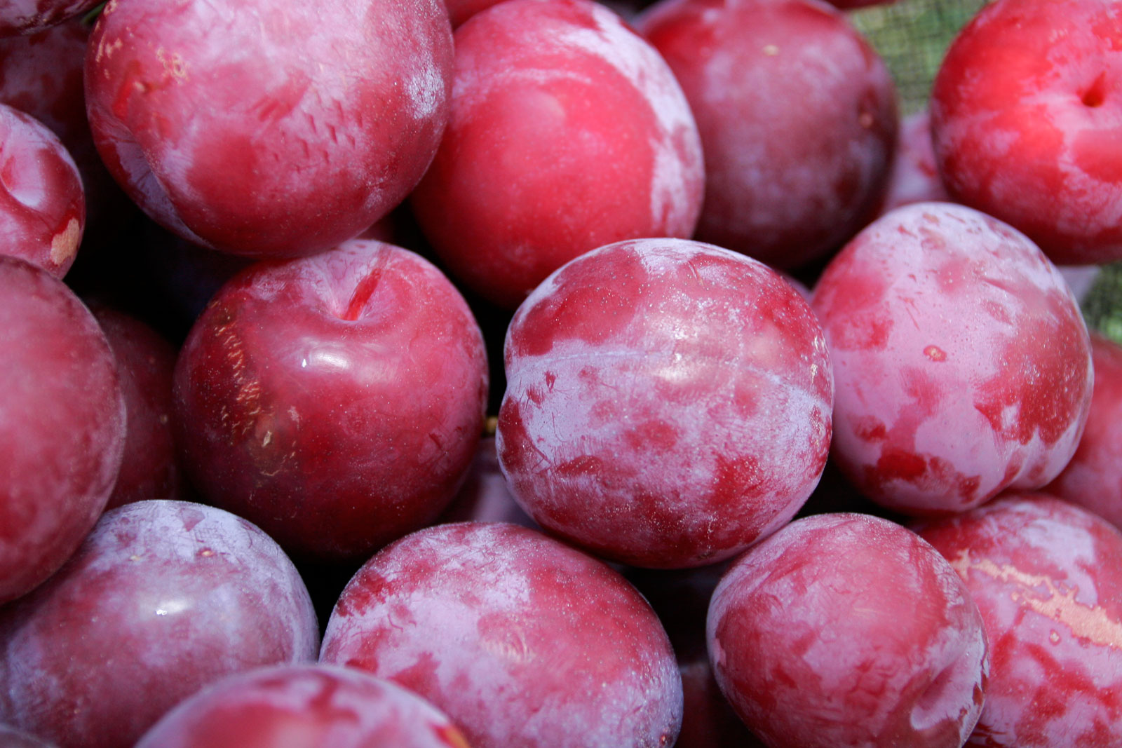 Download mobile wallpaper Food, Plum for free.