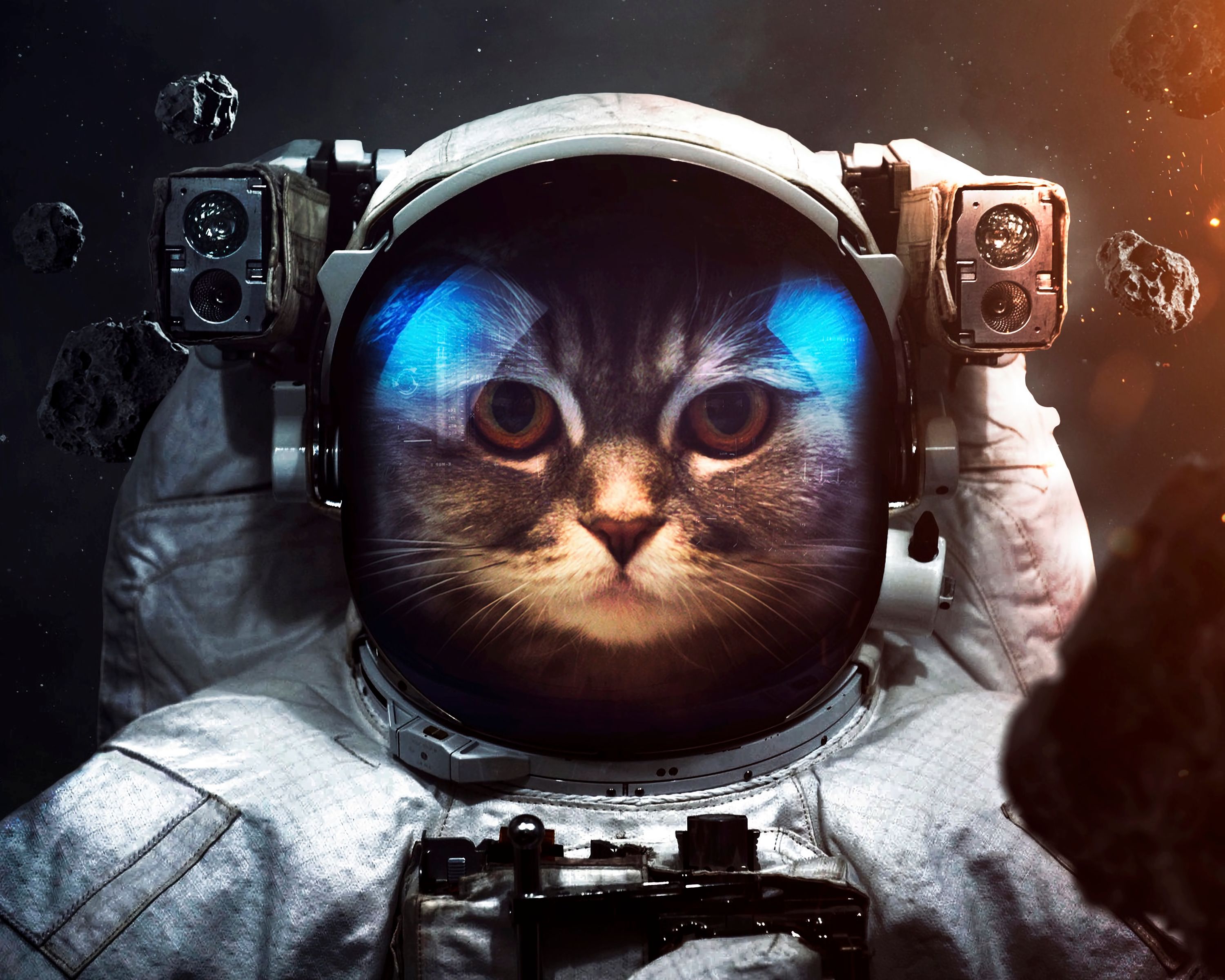 80129 завантажити картинку космос, скафандр, тварини, кіт, кішка, космонавт, космічний костюм - шпалери і заставки безкоштовно