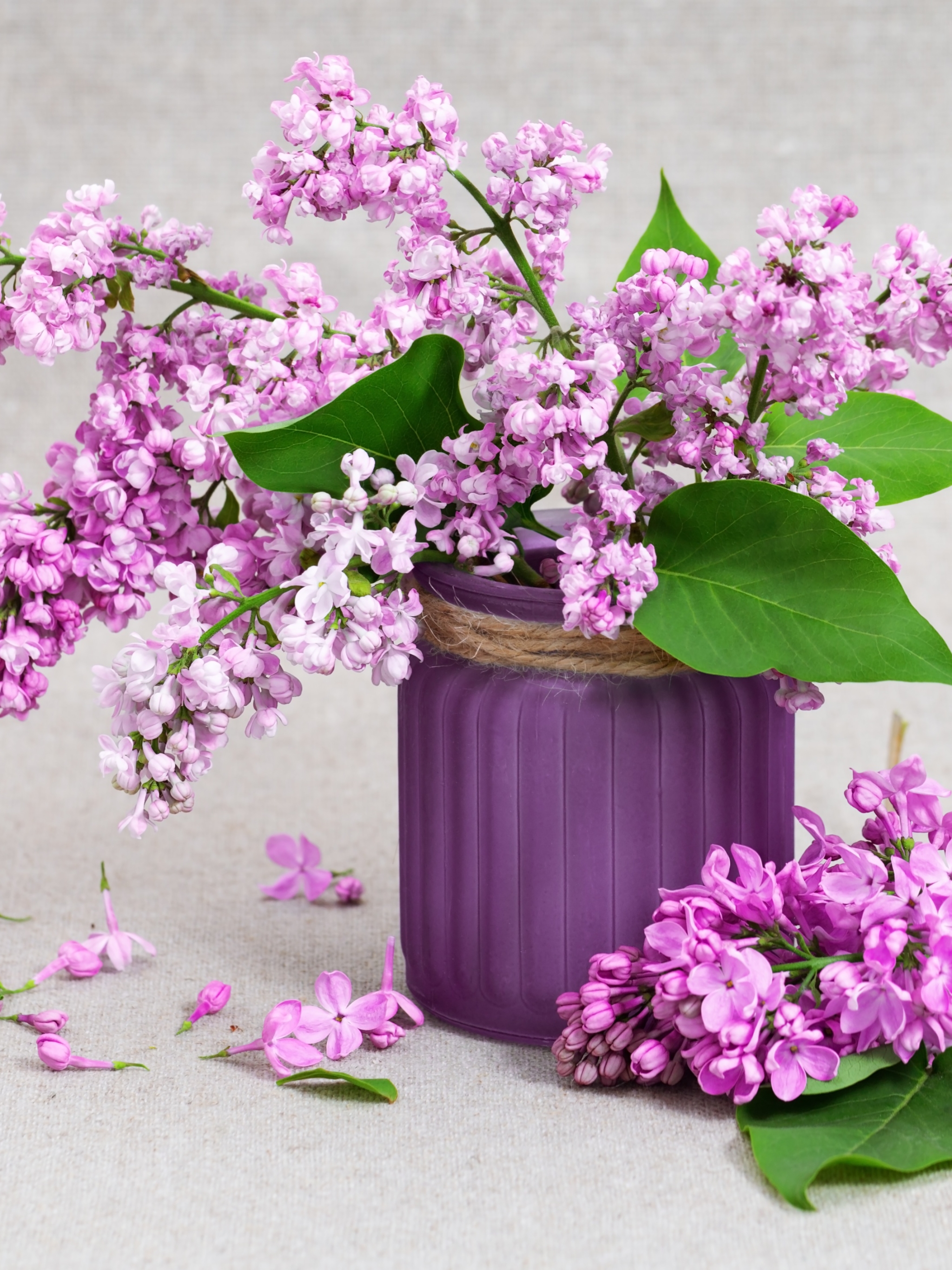 Download mobile wallpaper Lilac, Flower, Leaf, Jar, Man Made for free.