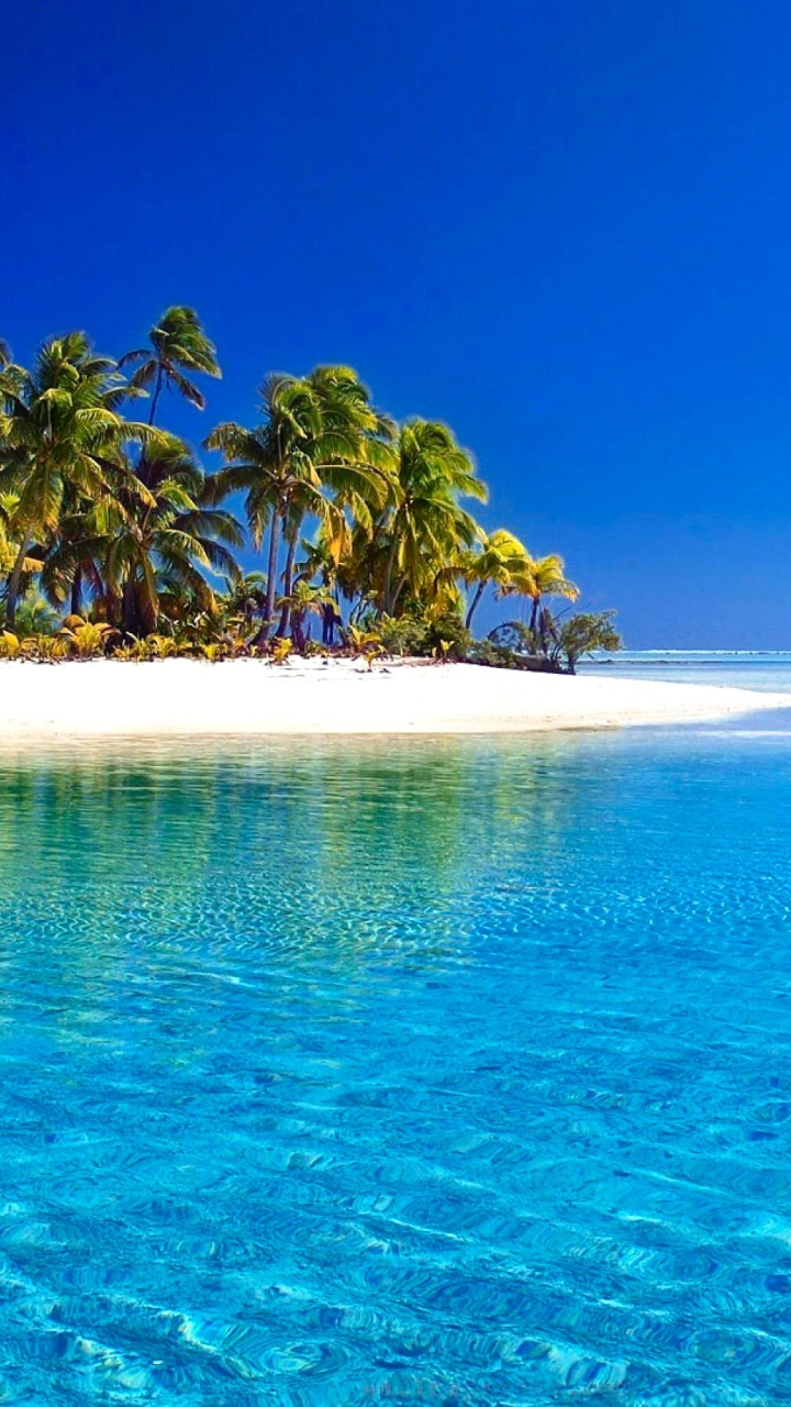 Download mobile wallpaper Sea, Beach, Summer, Horizon, Earth, Island, Tropical, Palm Tree for free.