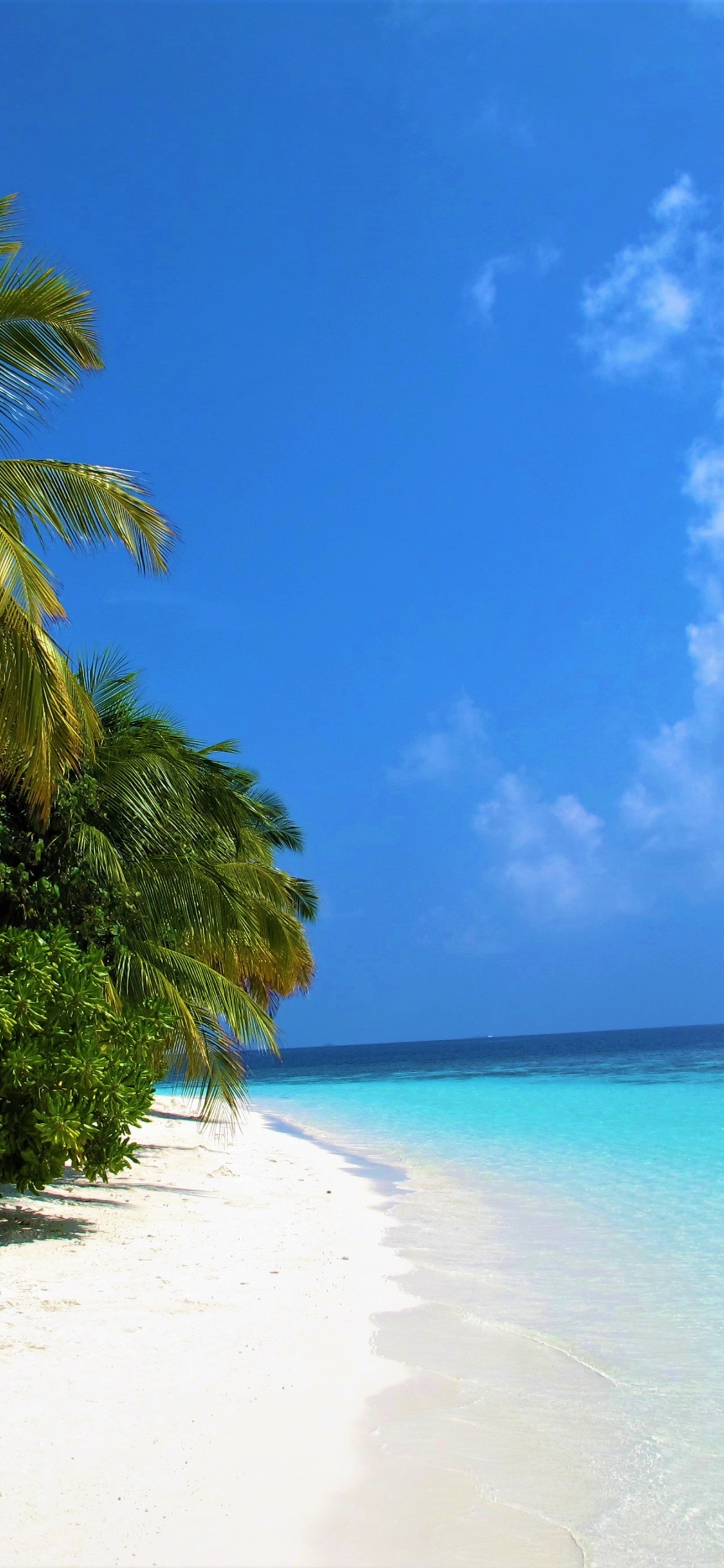 Download mobile wallpaper Sea, Beach, Ocean, Earth, Tropical, Maldives, Palm Tree for free.