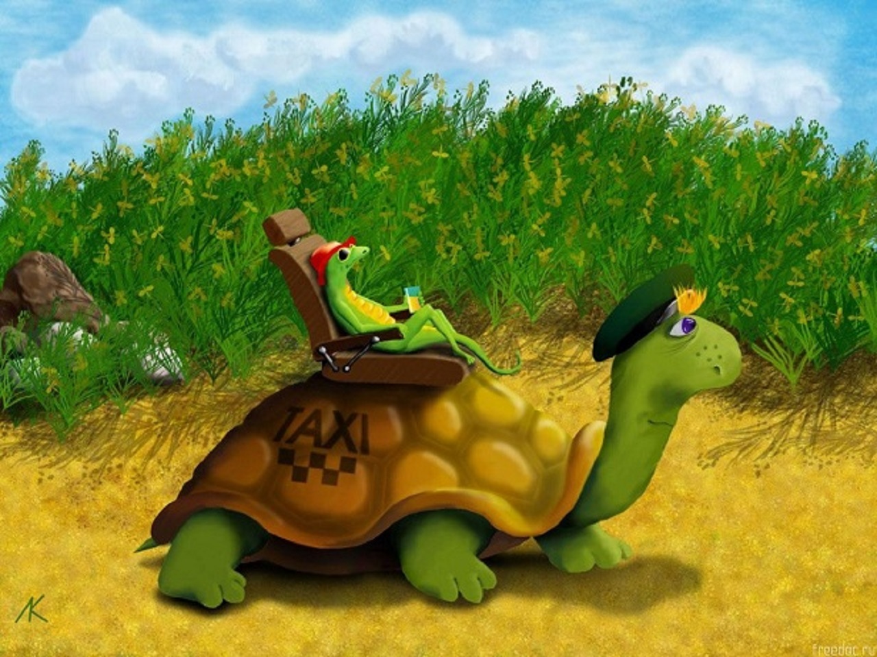 Free download wallpaper Fantasy, Turtle on your PC desktop