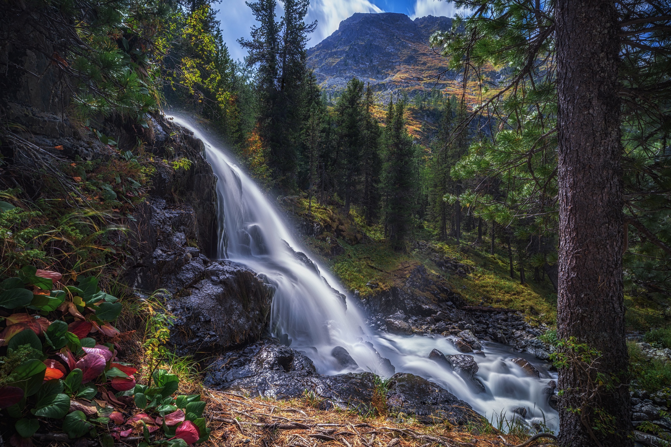 Baixe gratuitamente a imagem Cachoeiras, Floresta, Árvore, Rússia, Terra/natureza, Cachoeira na área de trabalho do seu PC