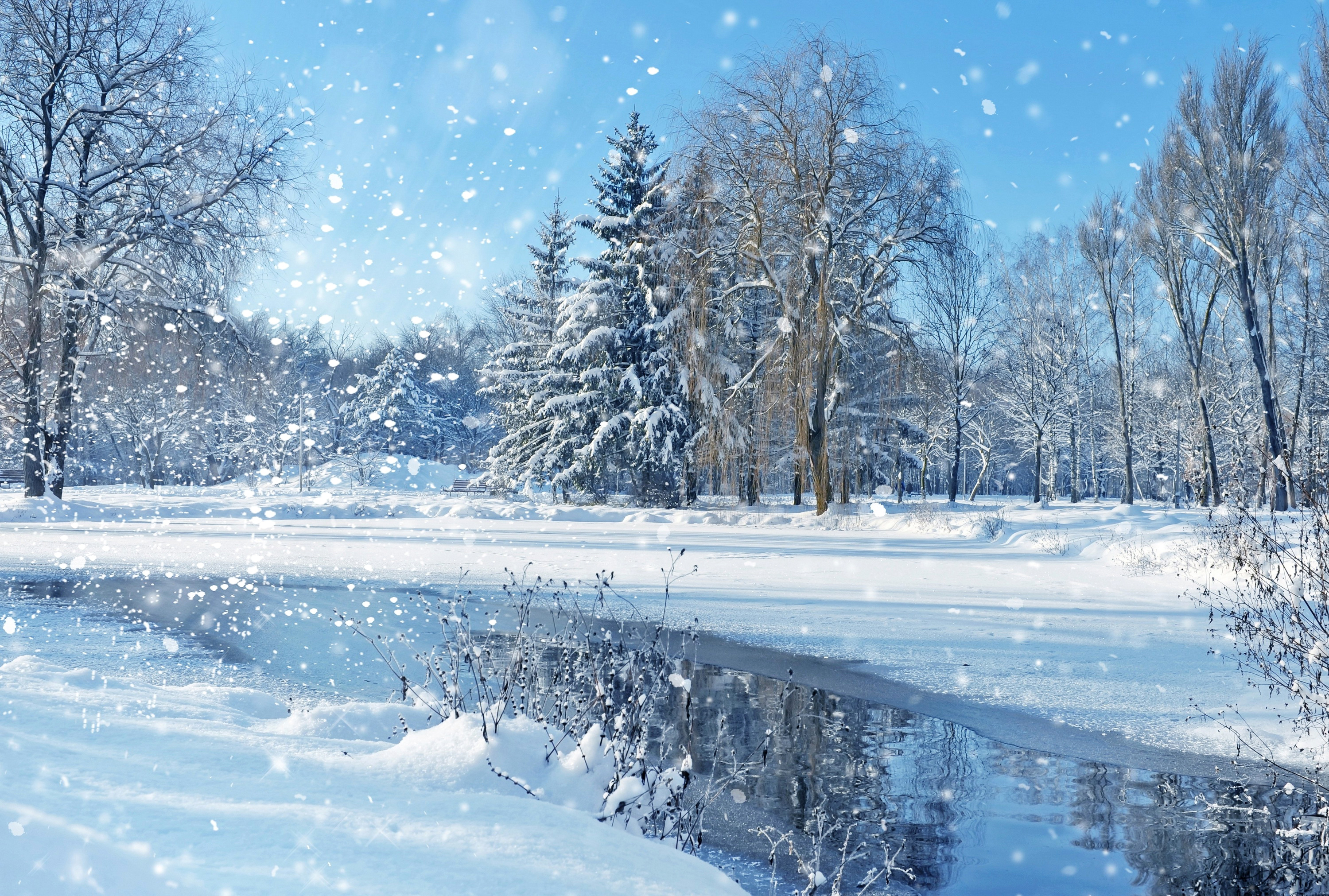 Скачать обои бесплатно Зима, Снег, Парк, Дерево, Снегопад, Земля/природа картинка на рабочий стол ПК