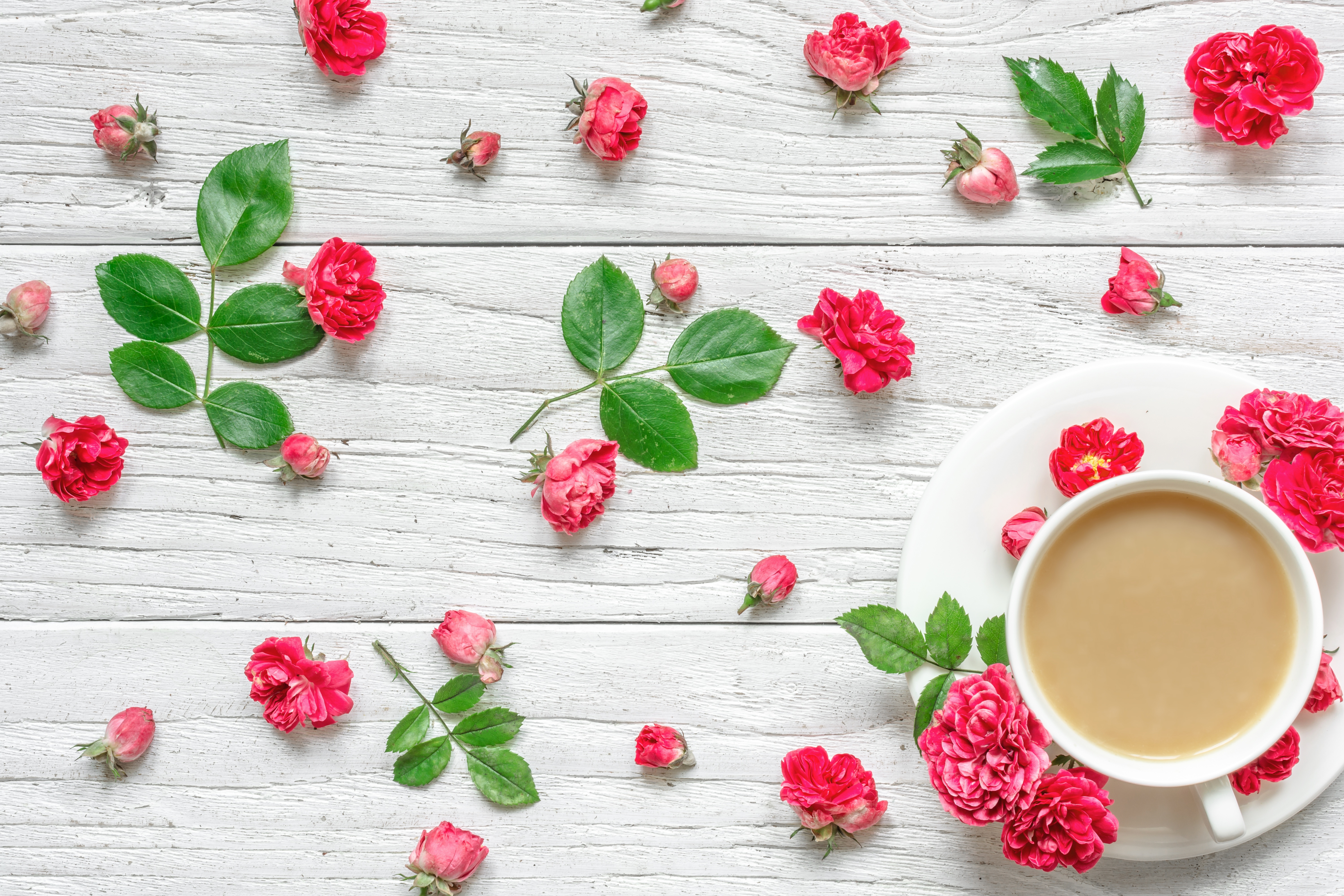 Free download wallpaper Food, Coffee, Still Life, Flower, Cup, Drink on your PC desktop