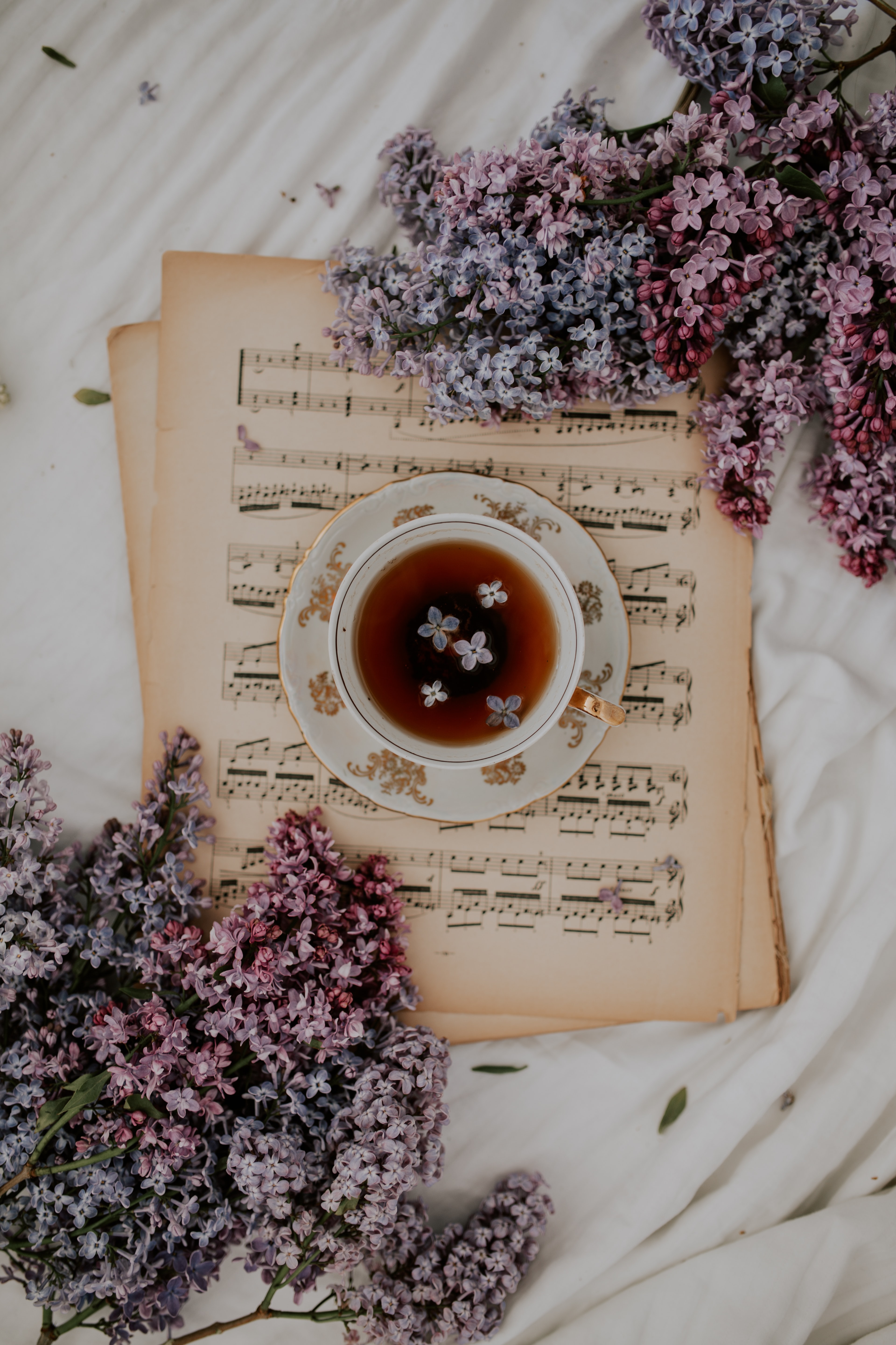 music, flowers, lilac, miscellanea, miscellaneous, cup, tea, notes