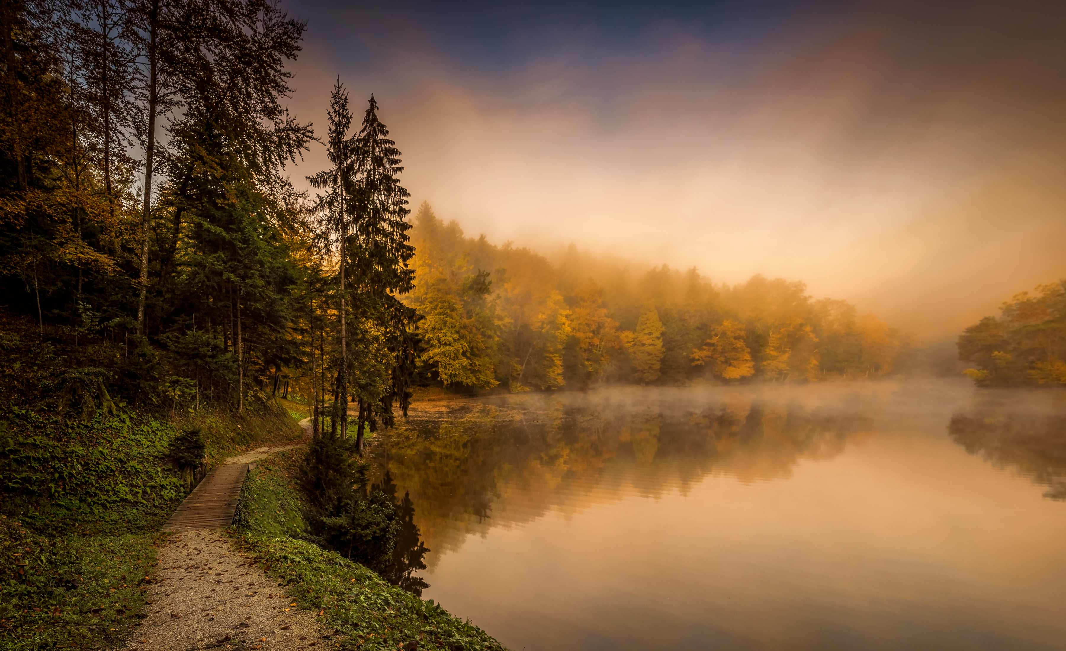 Download mobile wallpaper Nature, Reflection, Forest, Fog, Earth, Path, River for free.