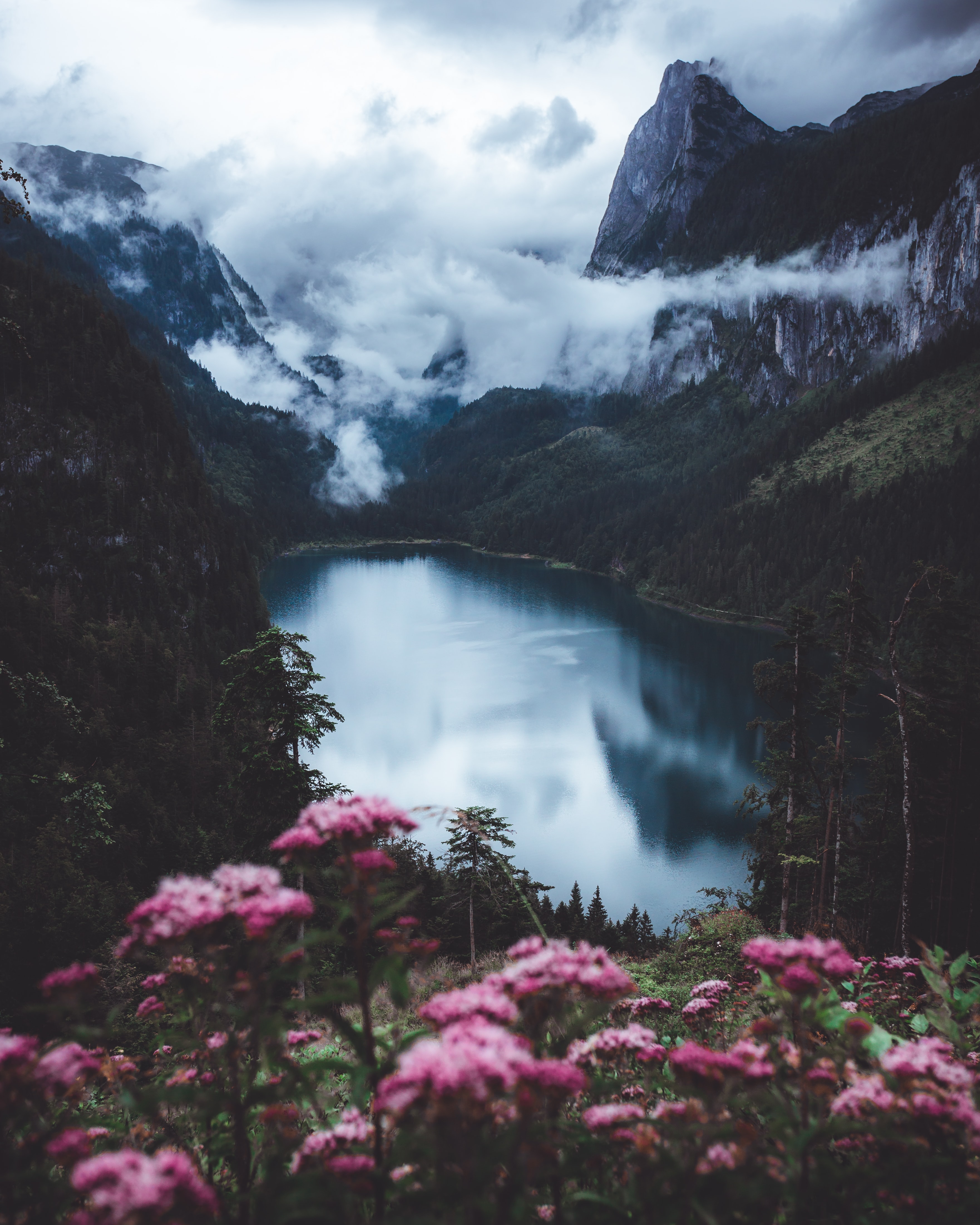 Descarga gratis la imagen Naturaleza, Flores, Montañas, Las Rocas, Rocas, Lago, Niebla en el escritorio de tu PC