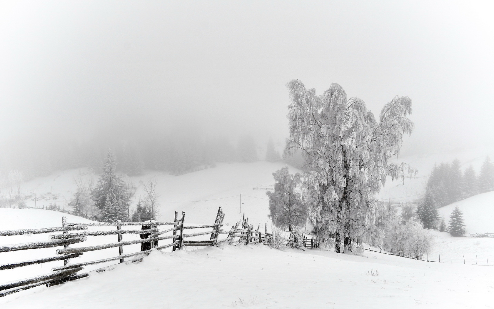 Baixar papel de parede para celular de Inverno, Terra/natureza gratuito.