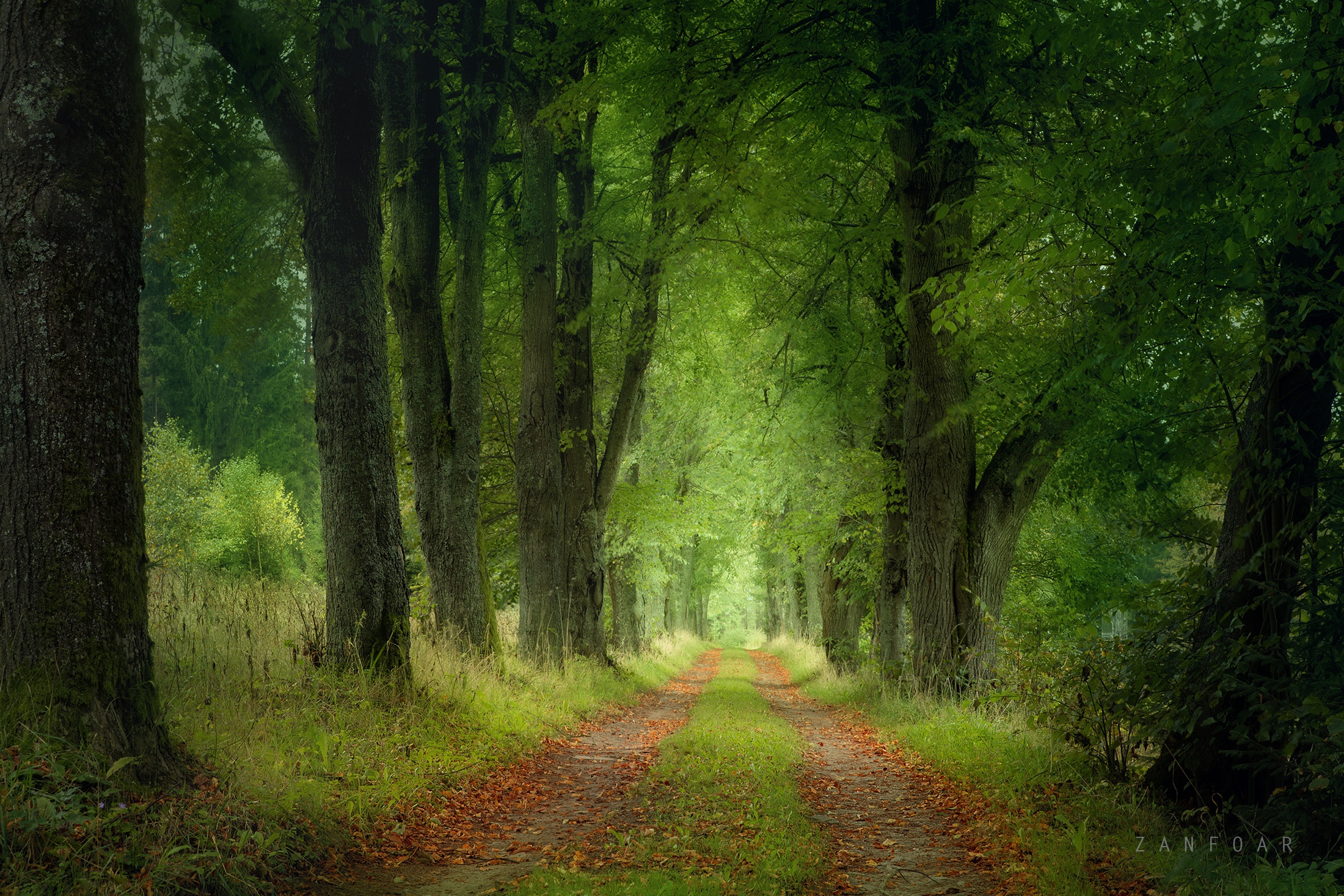 Free download wallpaper Landscape, Nature, Road, Forest, Tree, Path, Czech Republic, Man Made on your PC desktop