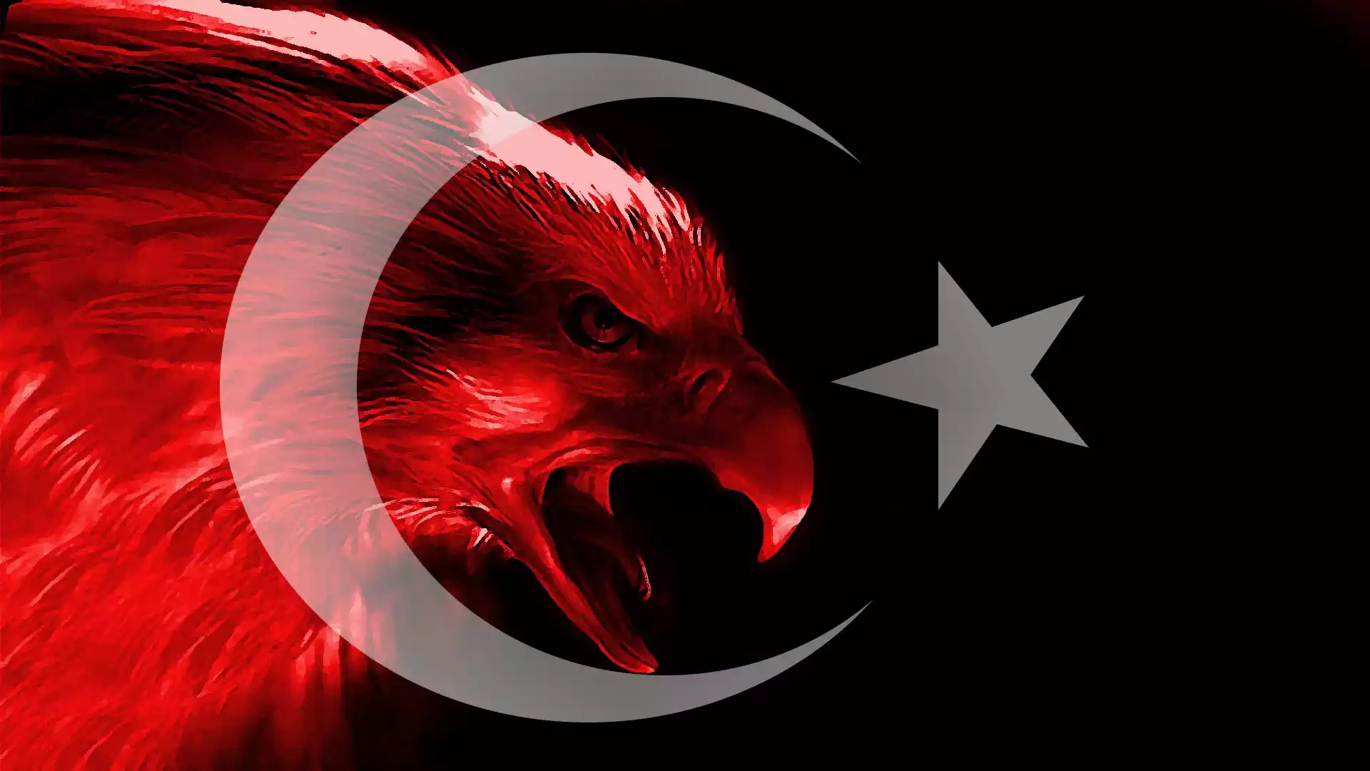 388493壁紙のダウンロードその他, トルコの国旗, 国旗, 七面鳥, フラグ-スクリーンセーバーと写真を無料で