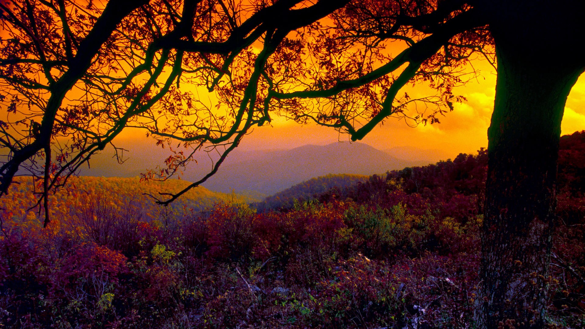 Handy-Wallpaper Landschaft, Erde/natur kostenlos herunterladen.