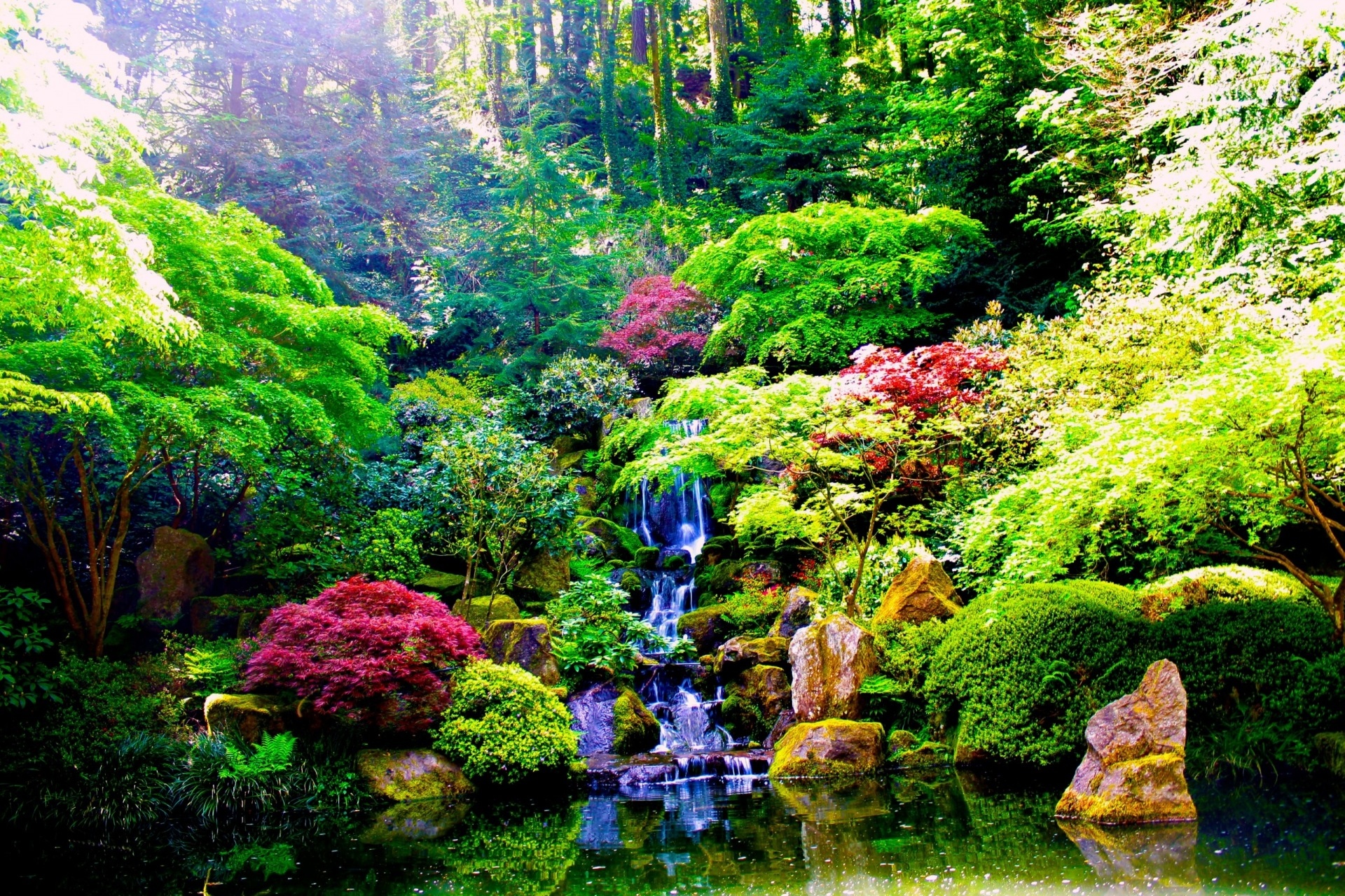 earth, waterfall, forest, garden, nature, plant, vegetation, water, waterfalls