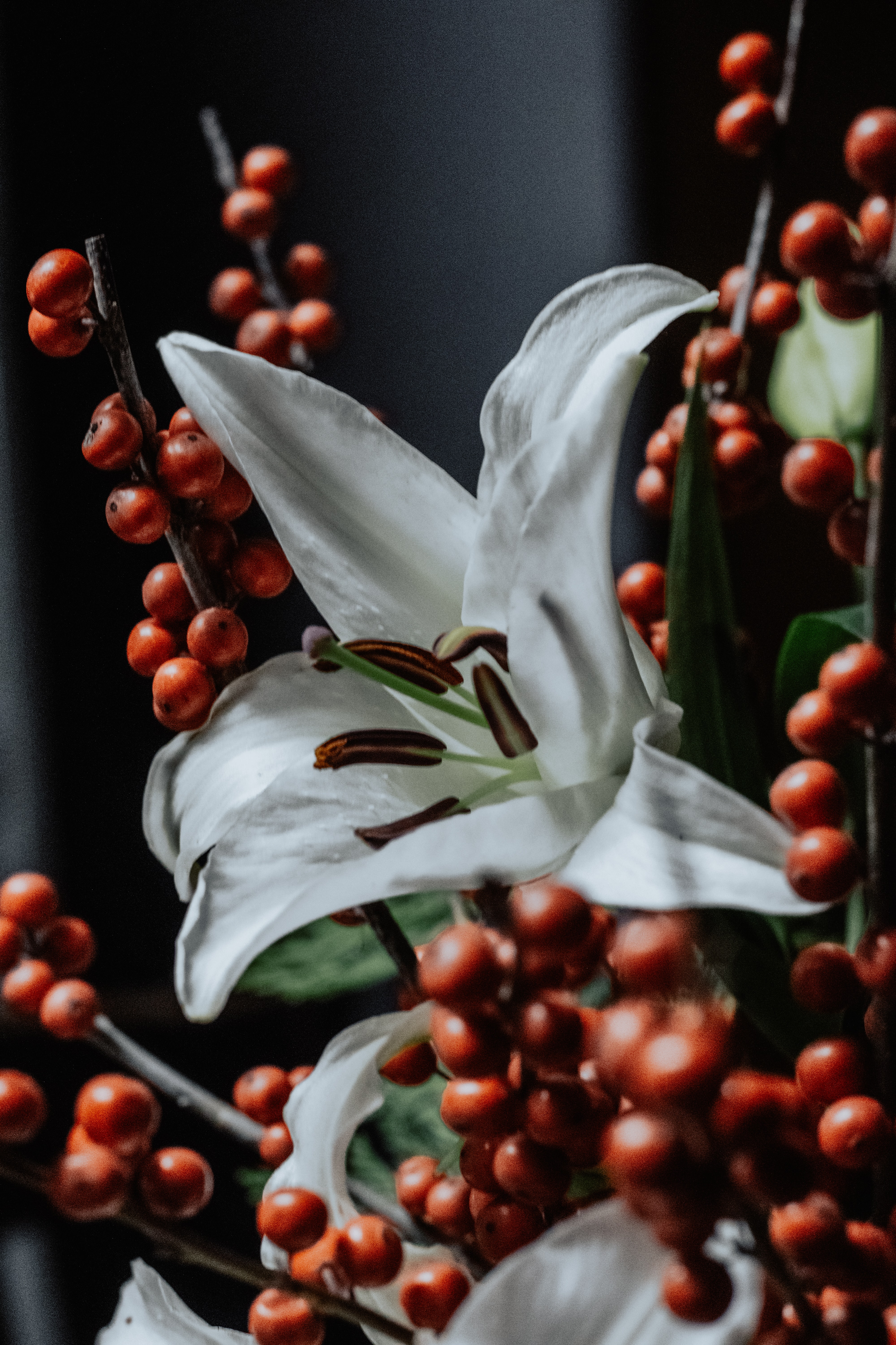 Laden Sie das Berries, Lilie, Lily, Blume, Blumen, Pflanze-Bild kostenlos auf Ihren PC-Desktop herunter