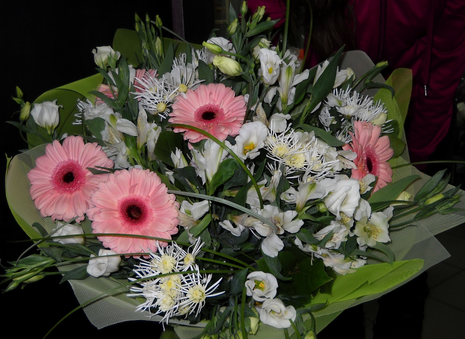 bouquet, flowers, gerberas, registration, typography, beauty