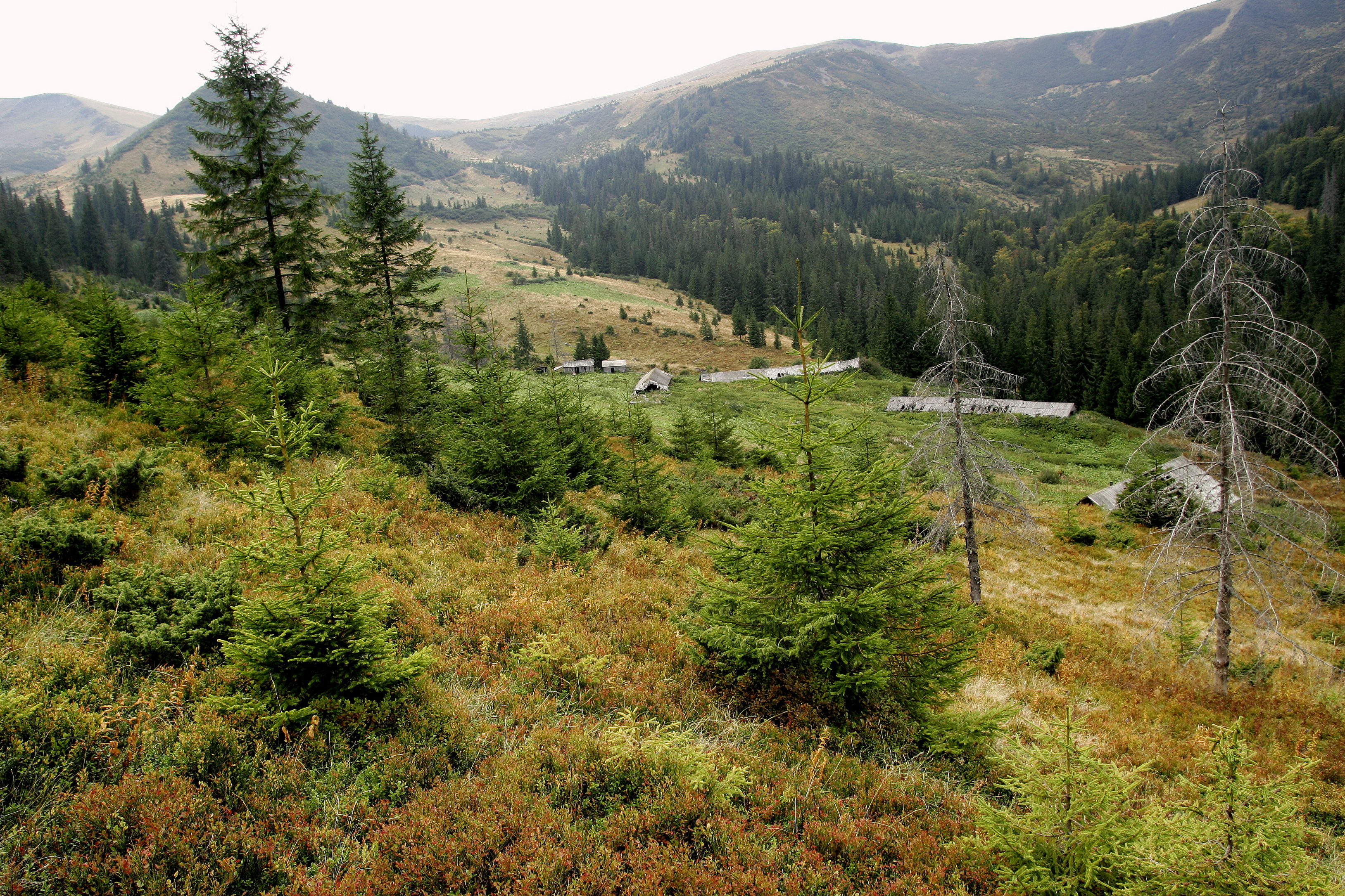 Handy-Wallpaper Landschaft, Erde/natur kostenlos herunterladen.