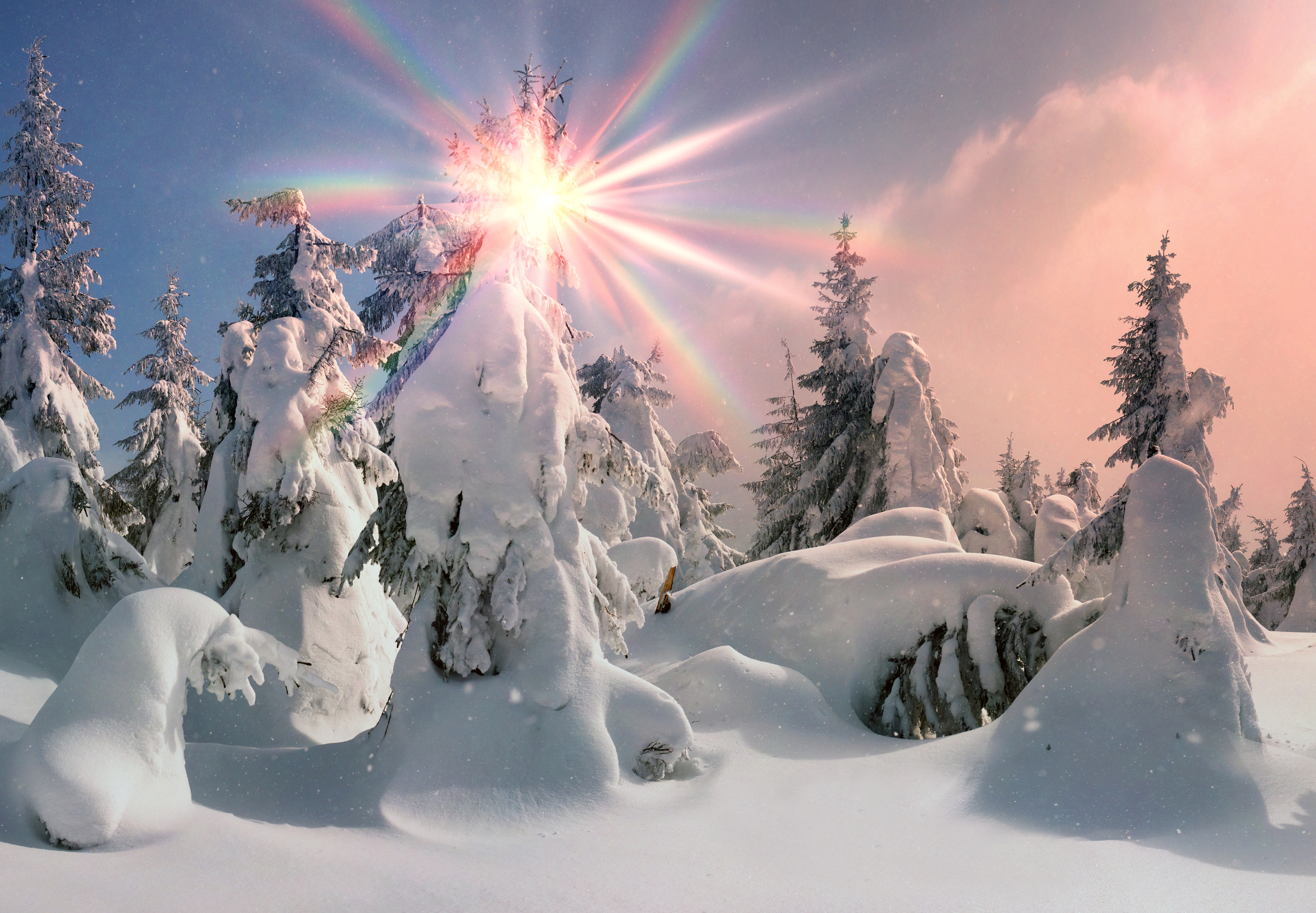 Download mobile wallpaper Winter, Snow, Tree, Earth, Sunbeam, Sunshine for free.