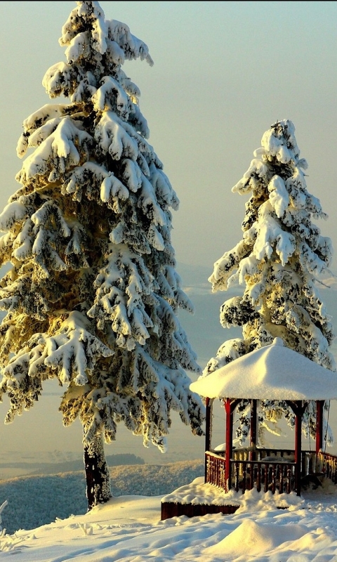 Download mobile wallpaper Landscape, Winter, Snow, Tree, Photography, Gazebo for free.