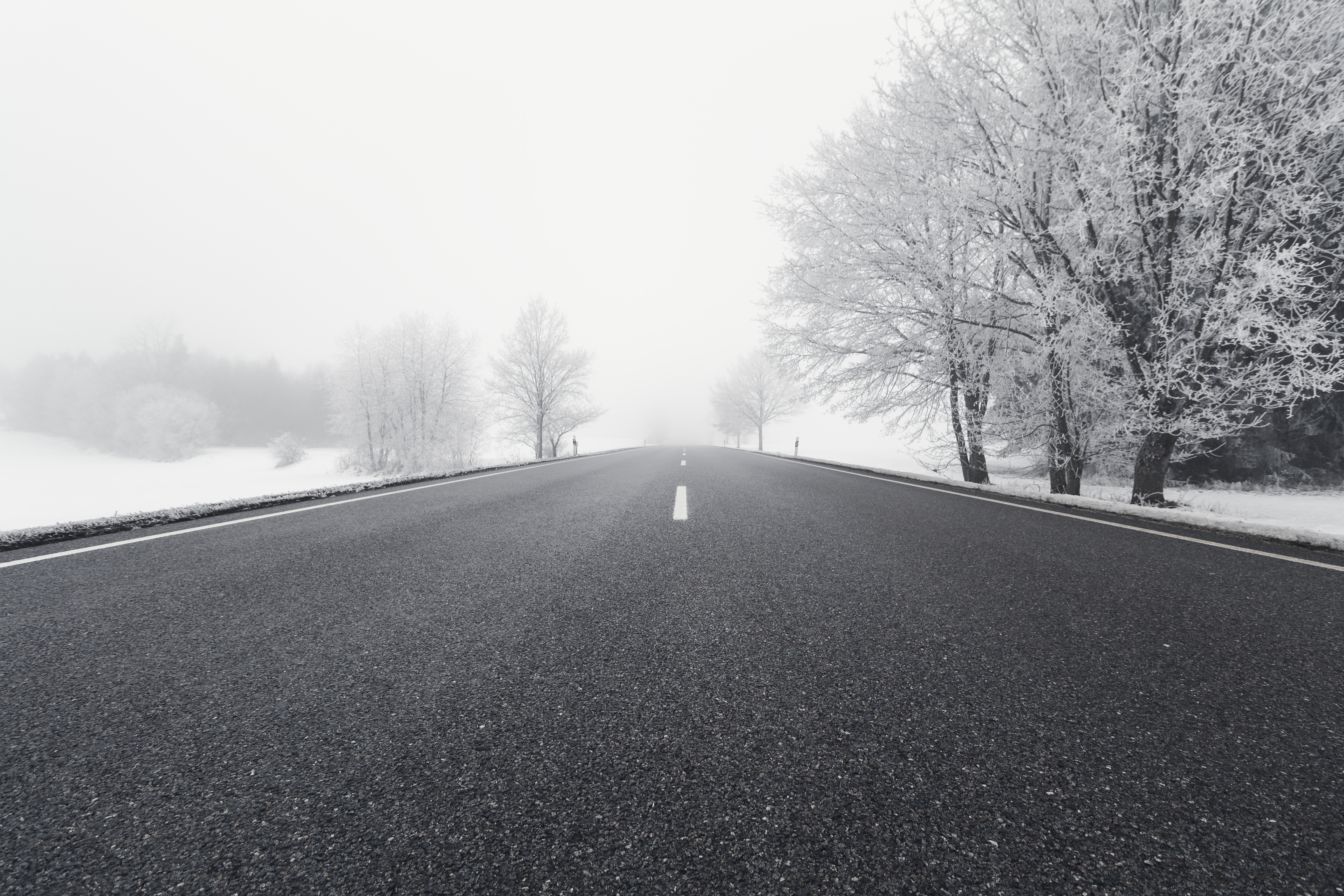 wallpapers winter, nature, trees, snow, road, fog, bw, chb, direction