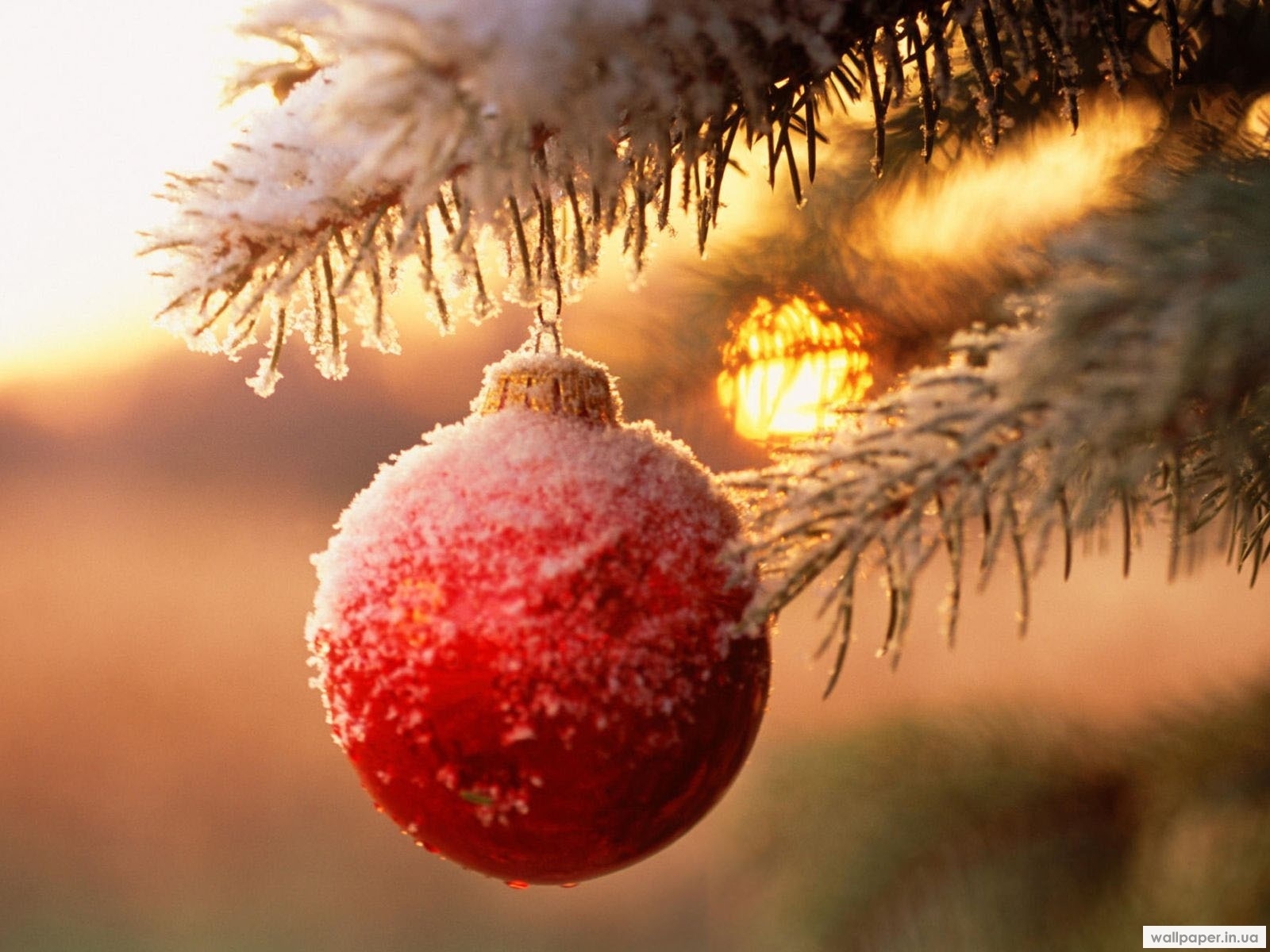 snow, holidays, new year, toys, christmas xmas, orange Panoramic Wallpaper