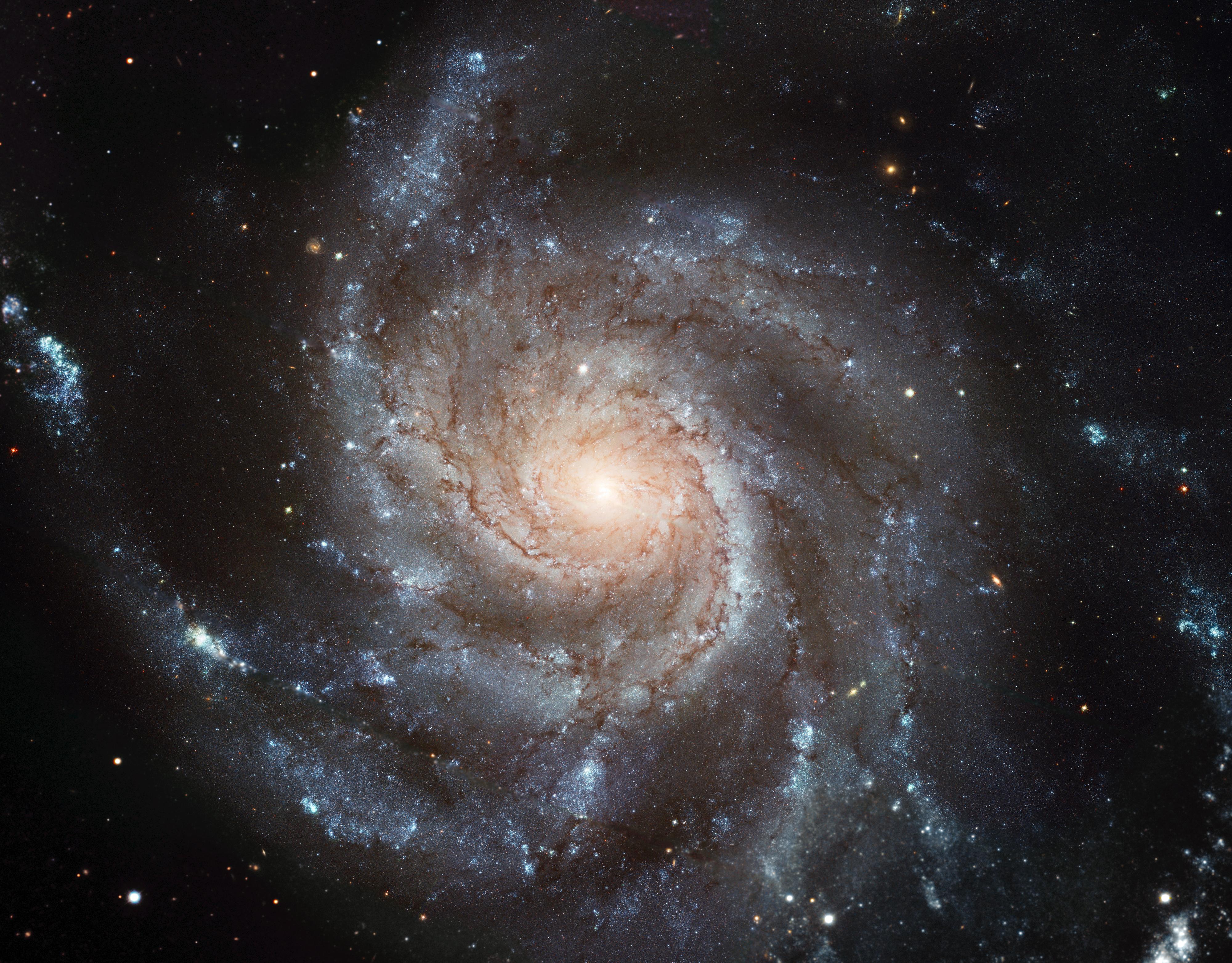 galaxy, astronomy, universe, stars, shine, brilliance, spiral, pinwheel galaxy, galaxy turntable