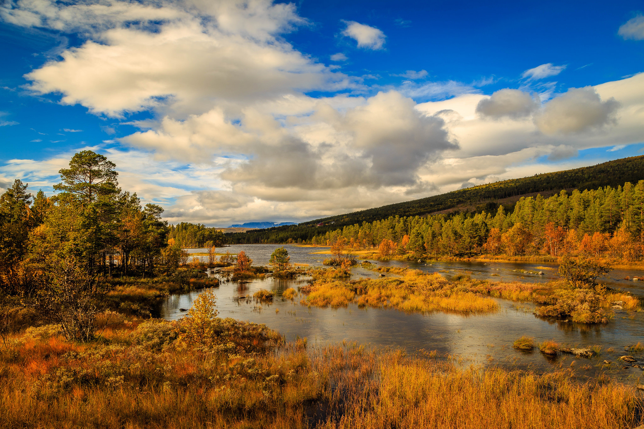 Скачать картинку Природа, Река, Осень, Облака, Дерево, Норвегия, Ландшафт, Земля/природа в телефон бесплатно.