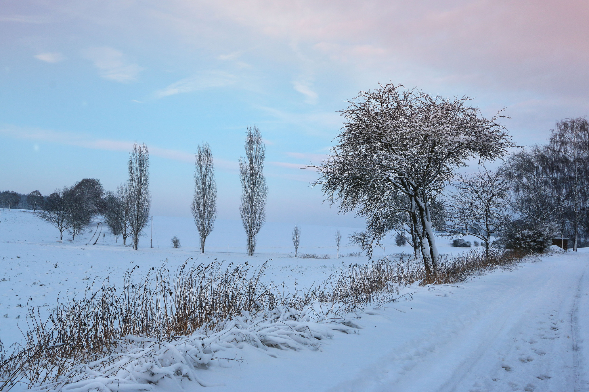 Laden Sie das Winter, Schnee, Straße, Baum, Erde/natur-Bild kostenlos auf Ihren PC-Desktop herunter