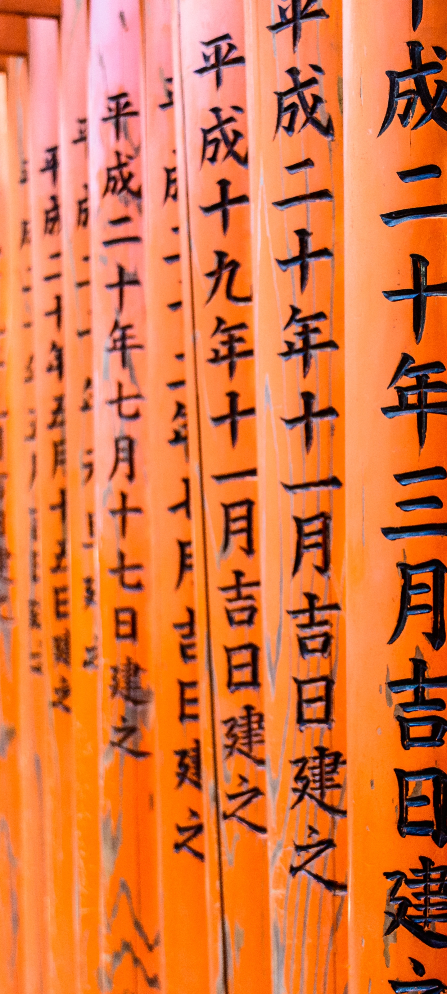 Download mobile wallpaper Japan, Torii, Kyoto, Religious, Fushimi Inari Taisha for free.