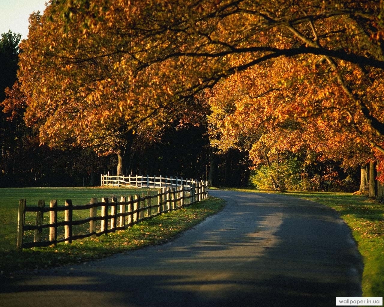Download mobile wallpaper Landscape, Roads, Trees, Autumn for free.