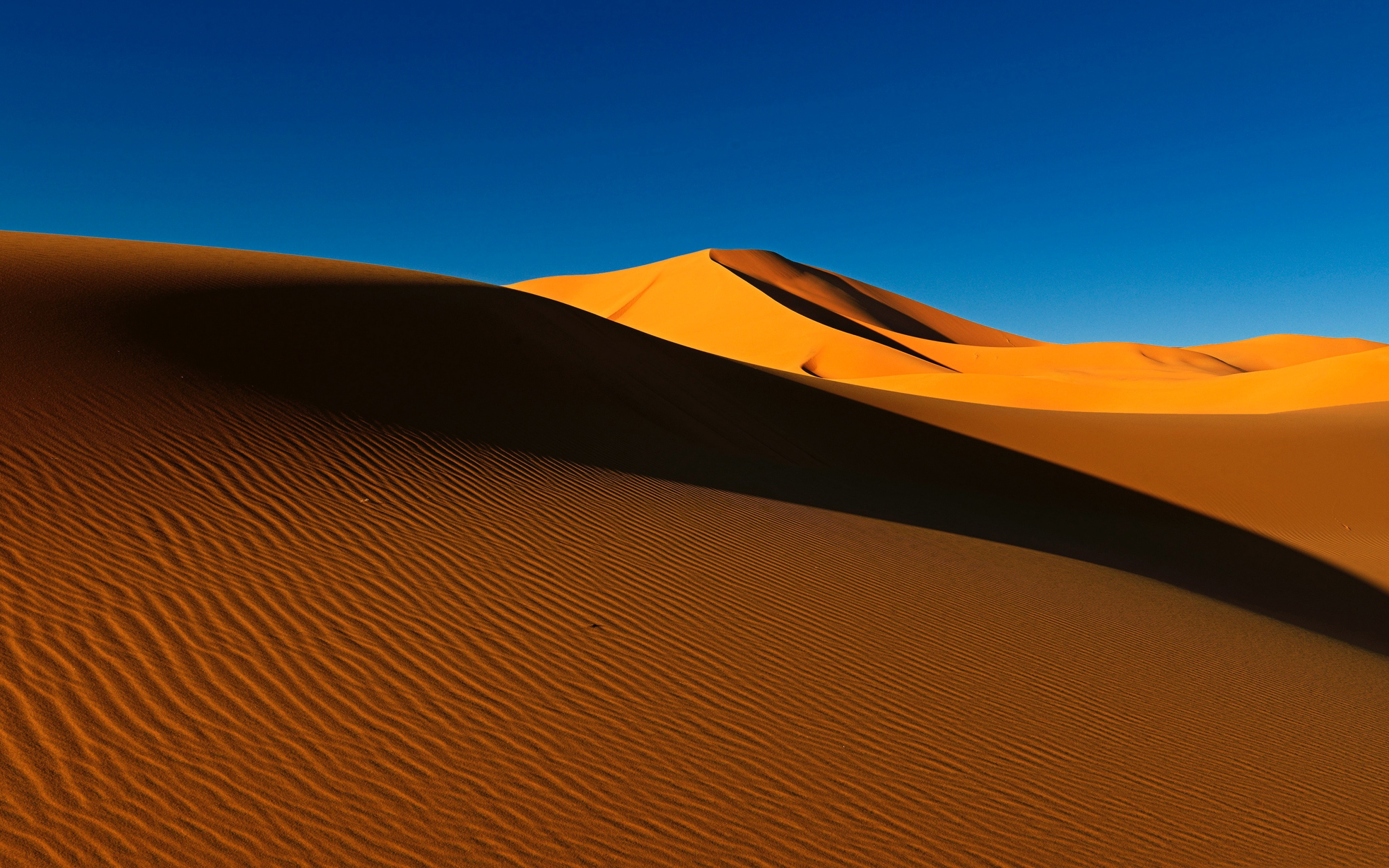 Laden Sie das Natur, Sand, Düne, Steppe, Erde/natur-Bild kostenlos auf Ihren PC-Desktop herunter