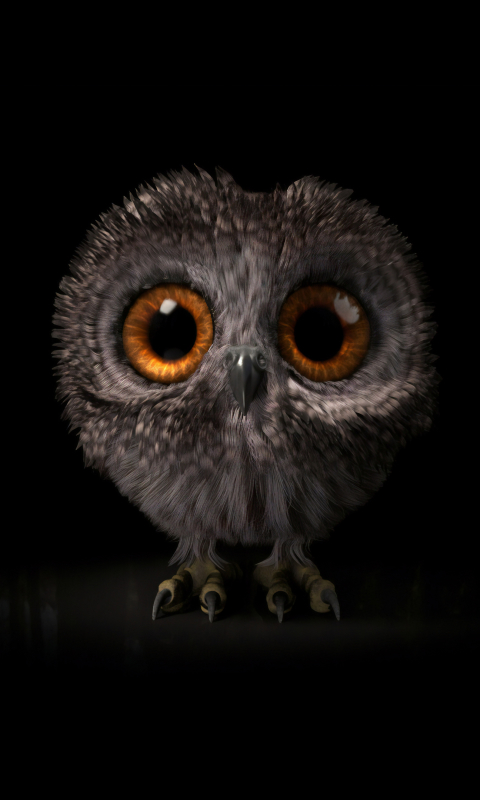 Download mobile wallpaper Birds, Owl, Animal, Cute, Owlet, Baby Animal for free.