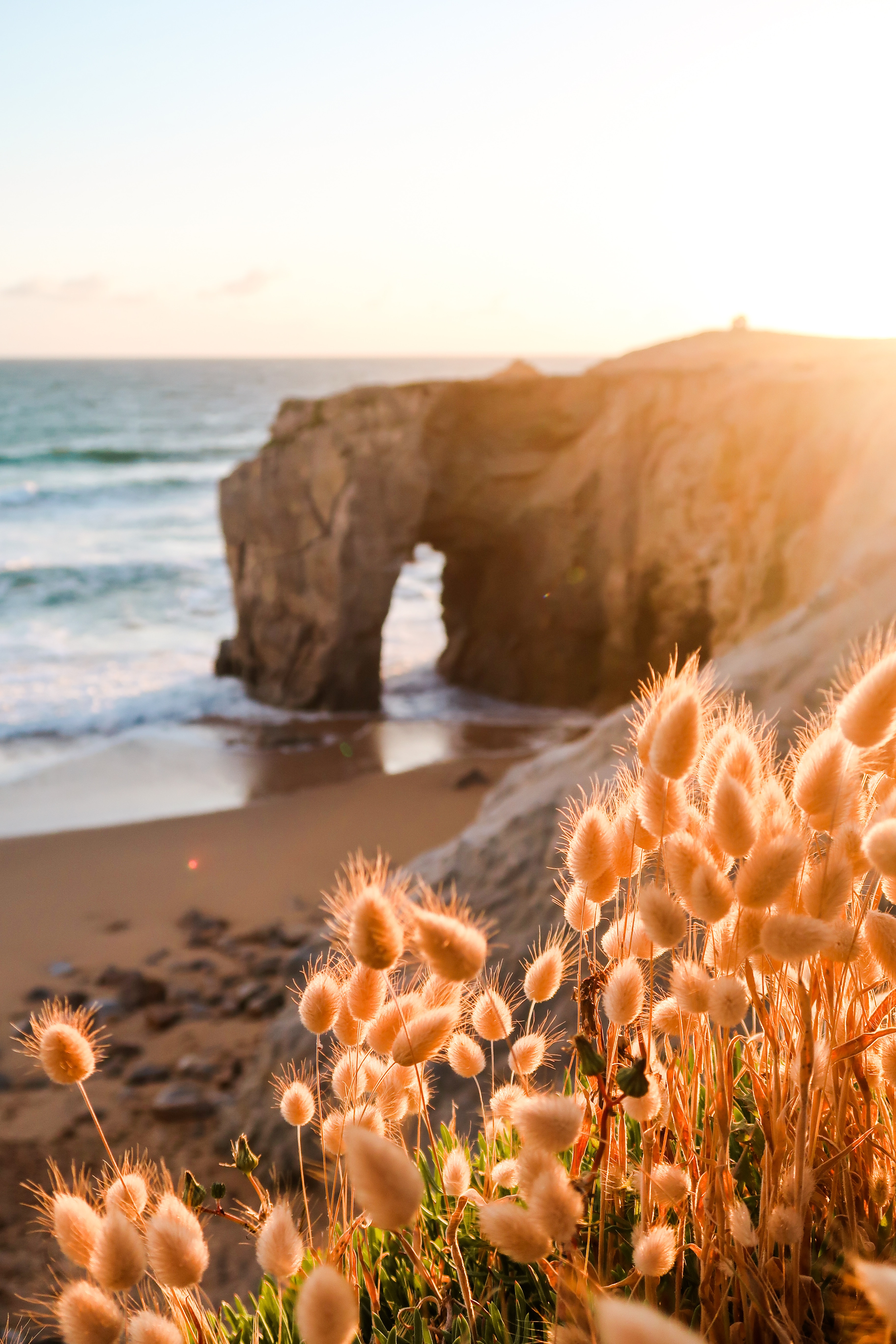 Free download wallpaper Nature, Rock, Coast, Plants, Beach on your PC desktop
