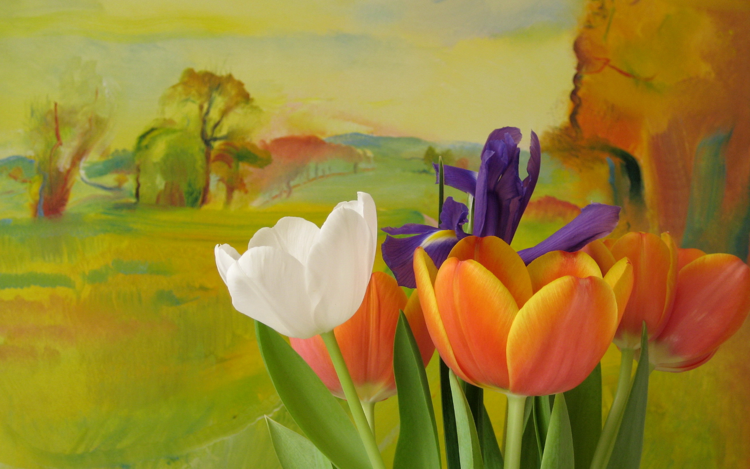 Free download wallpaper Landscape, Flowers, Flower, Artistic on your PC desktop