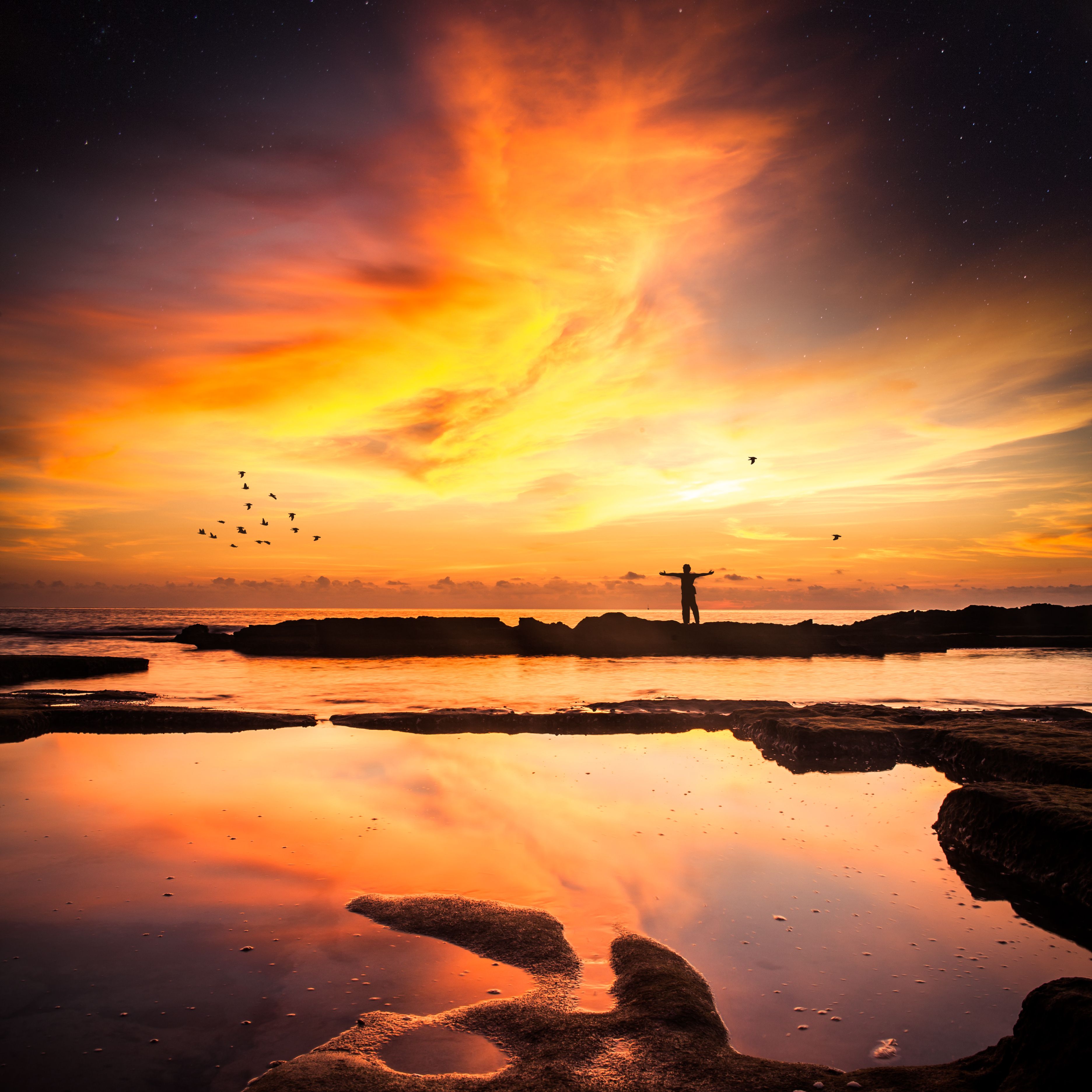 Free download wallpaper Freedom, Horizon, Nature, Sunset, Loneliness, Silhouette on your PC desktop