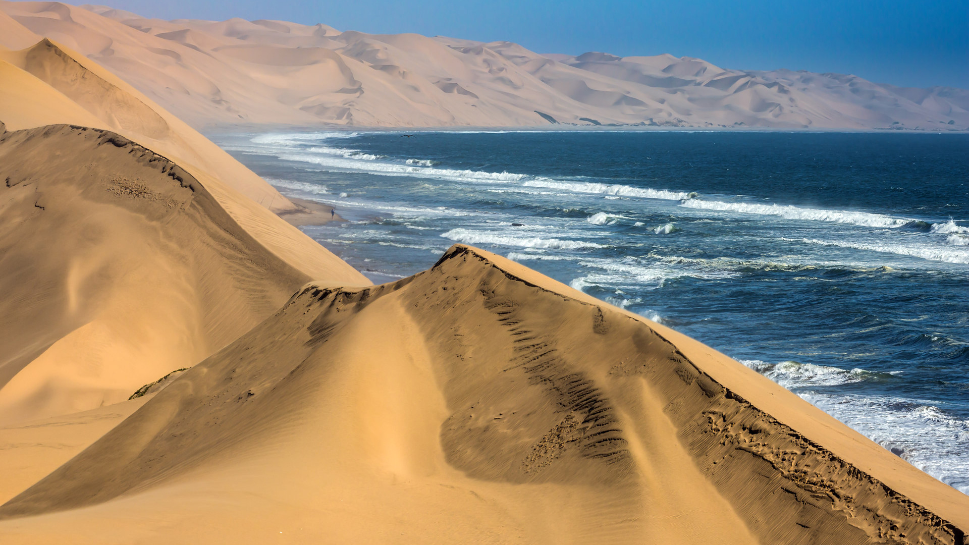 998743 descargar imagen tierra/naturaleza, paisaje, desierto, duna, namibia, océano, arena: fondos de pantalla y protectores de pantalla gratis
