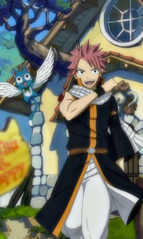 Baixar papel de parede para celular de Anime, Fairy Tail, Natsu Dragneel, Feliz (Fairy Tail) gratuito.